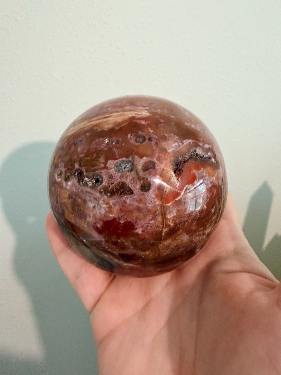 Natural Polished Petrified Wood Decorative Sphere Specimen crystal chakra