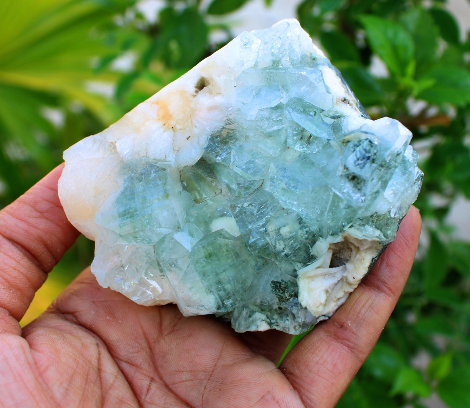 green apophyllite crystals on matrix minerals specimen #A43