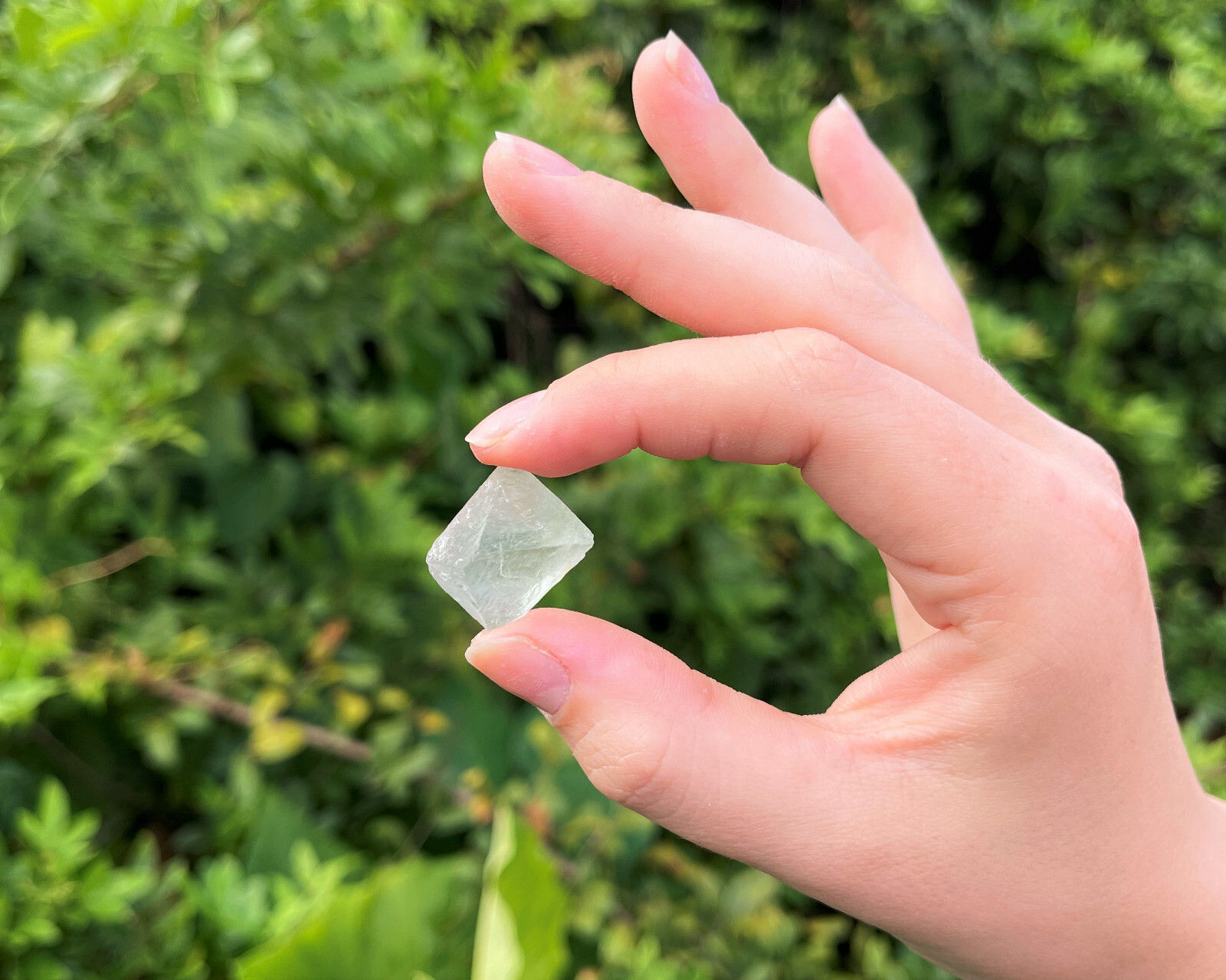 Fluorite Octahedron Crystals: Choose How Many Pieces (Premium Quality ‘A’ Grade)