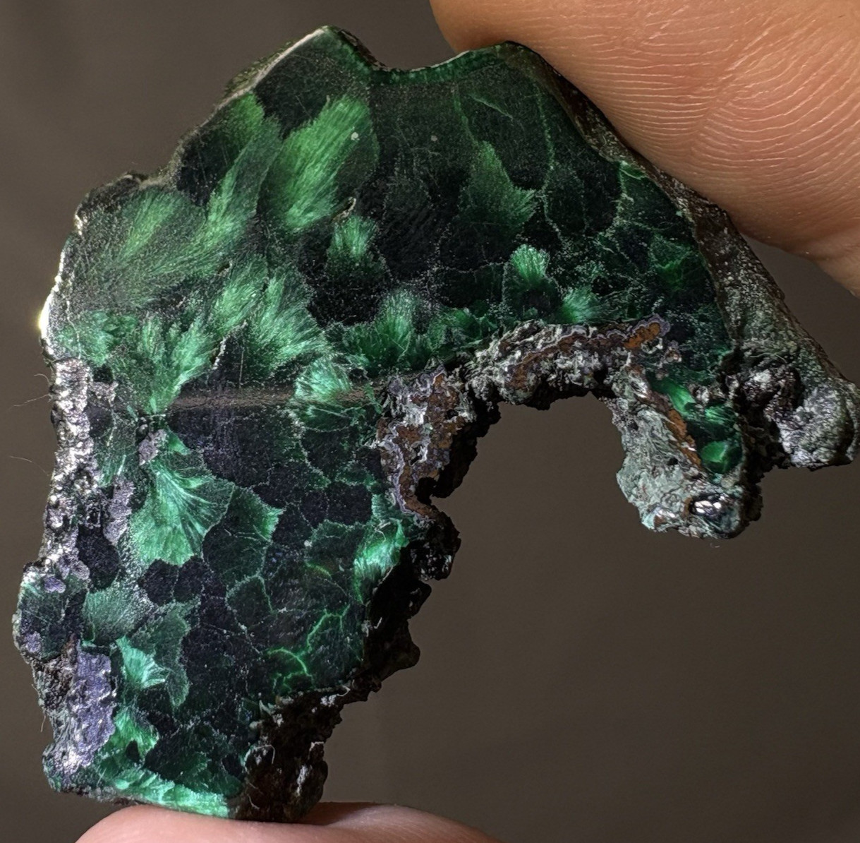 Natural Malachite Sliced Crystal Raw Mineral Specimen Healing Energy Reiki