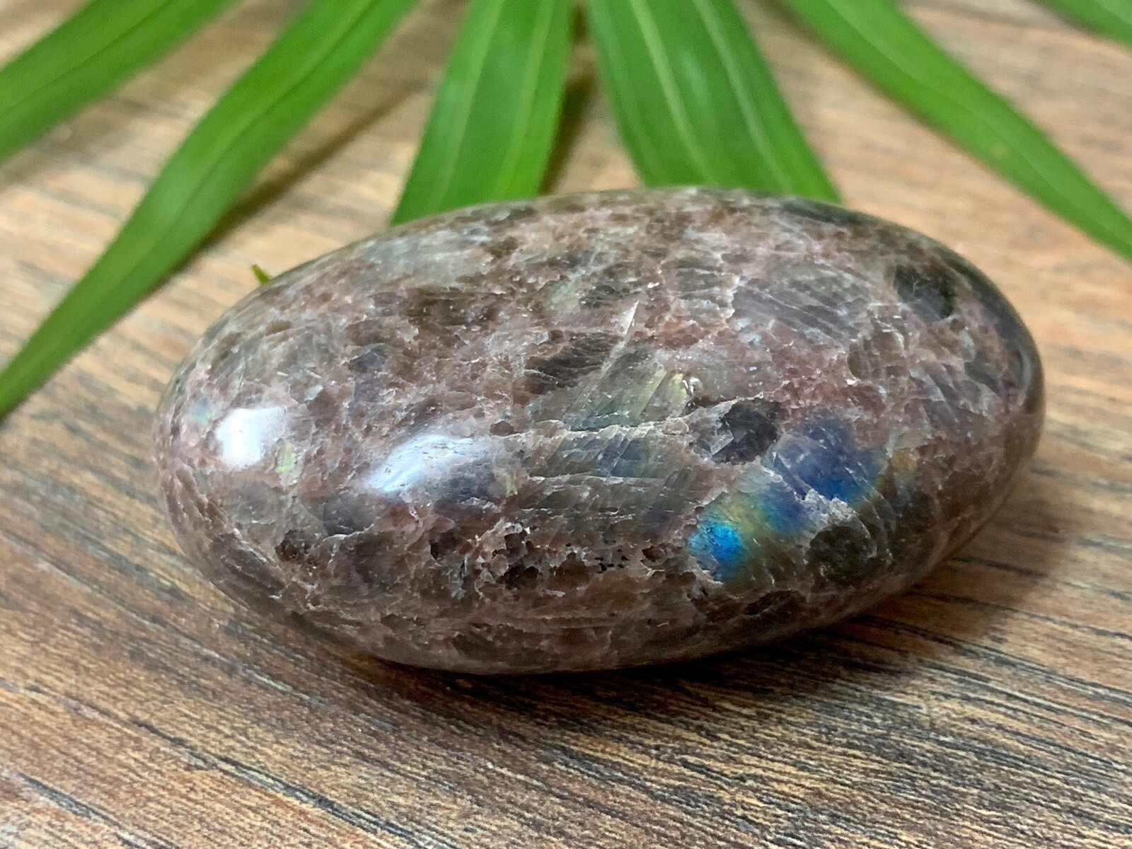 Galaxy Palm Stone Large Soap Stone Flat Therapy Meditation Specimen Reiki Cha