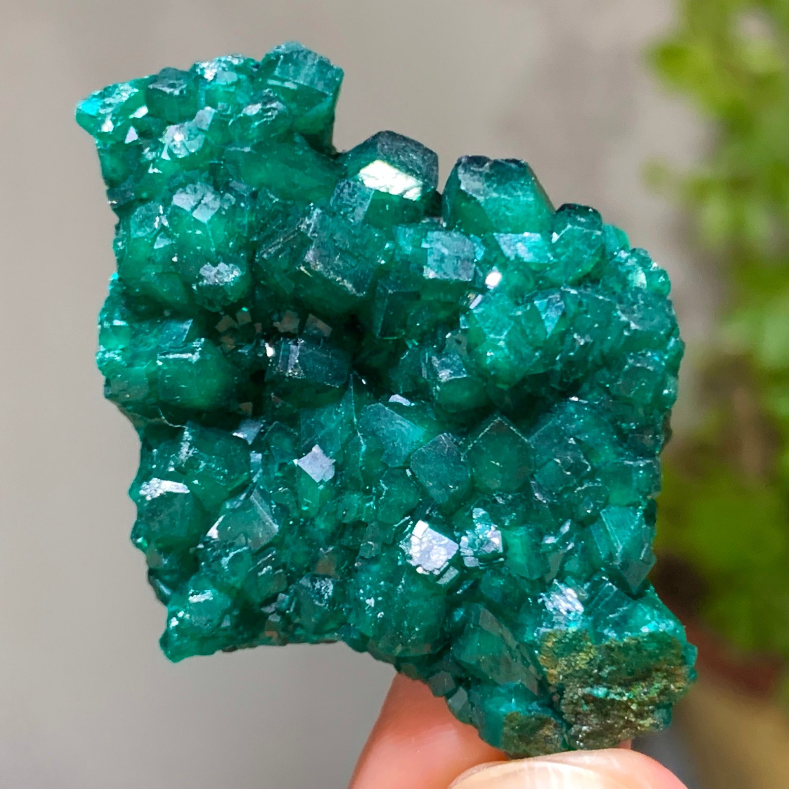 15G Natural green dioptase emerandine gemstone cluster mineral specimen