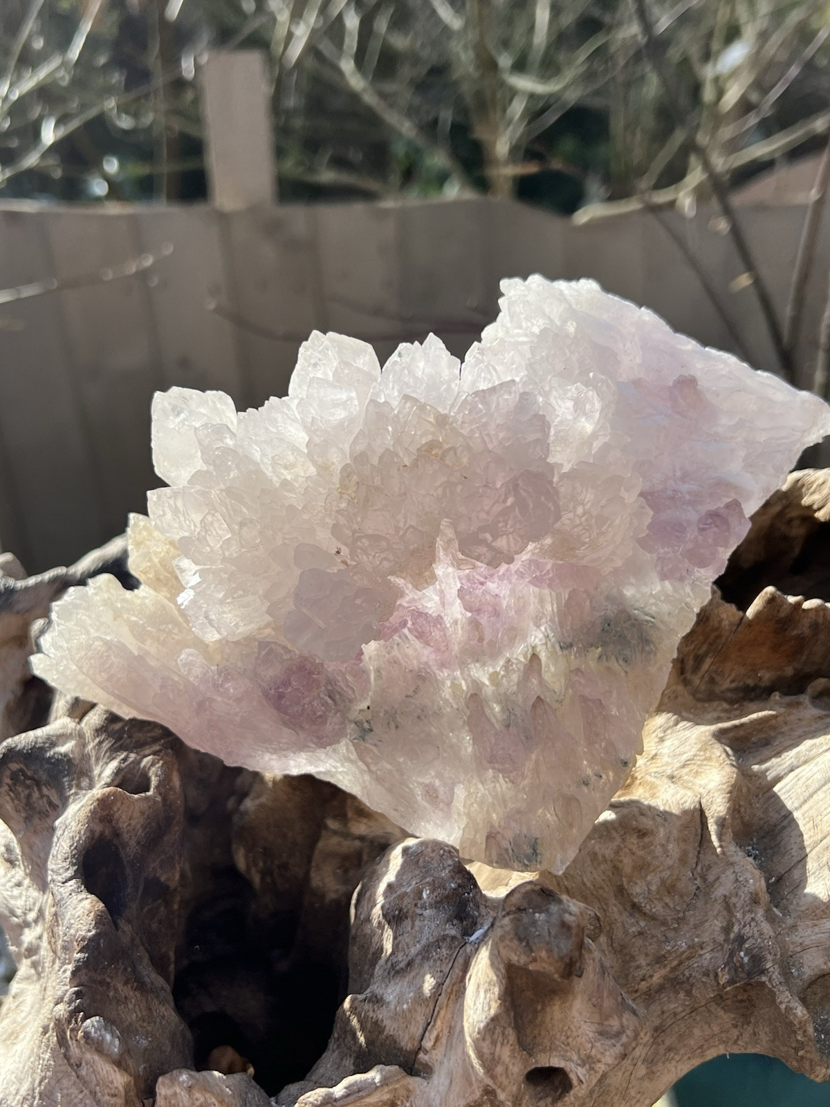 Pink Quartz Or Amethyst Rose Quartz Brazilian AAA+ Fan Like Structure