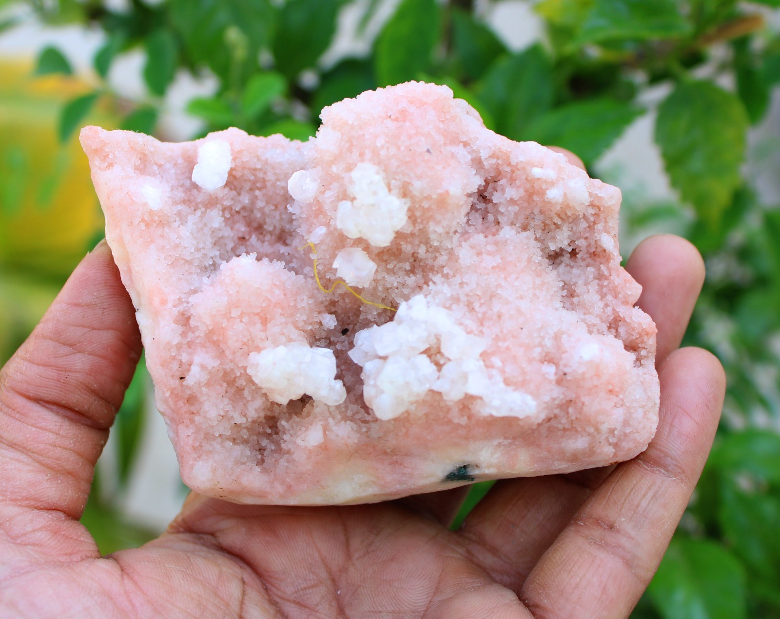 chalcedony coral on matrix minerals specimen #A43