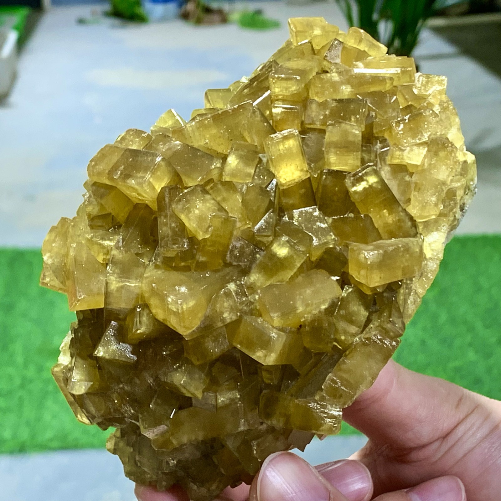 1.87LB Shiny Golden Cuboid Barite Crystal Based on the Purple Spherical Fluorite
