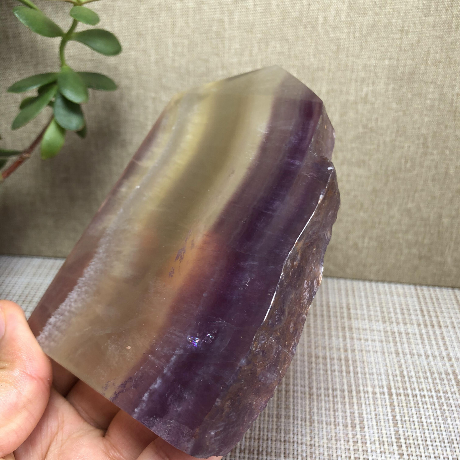 492g Natural candy Fluorite Polish/Rough wand Crystal free standing 123mm A2894