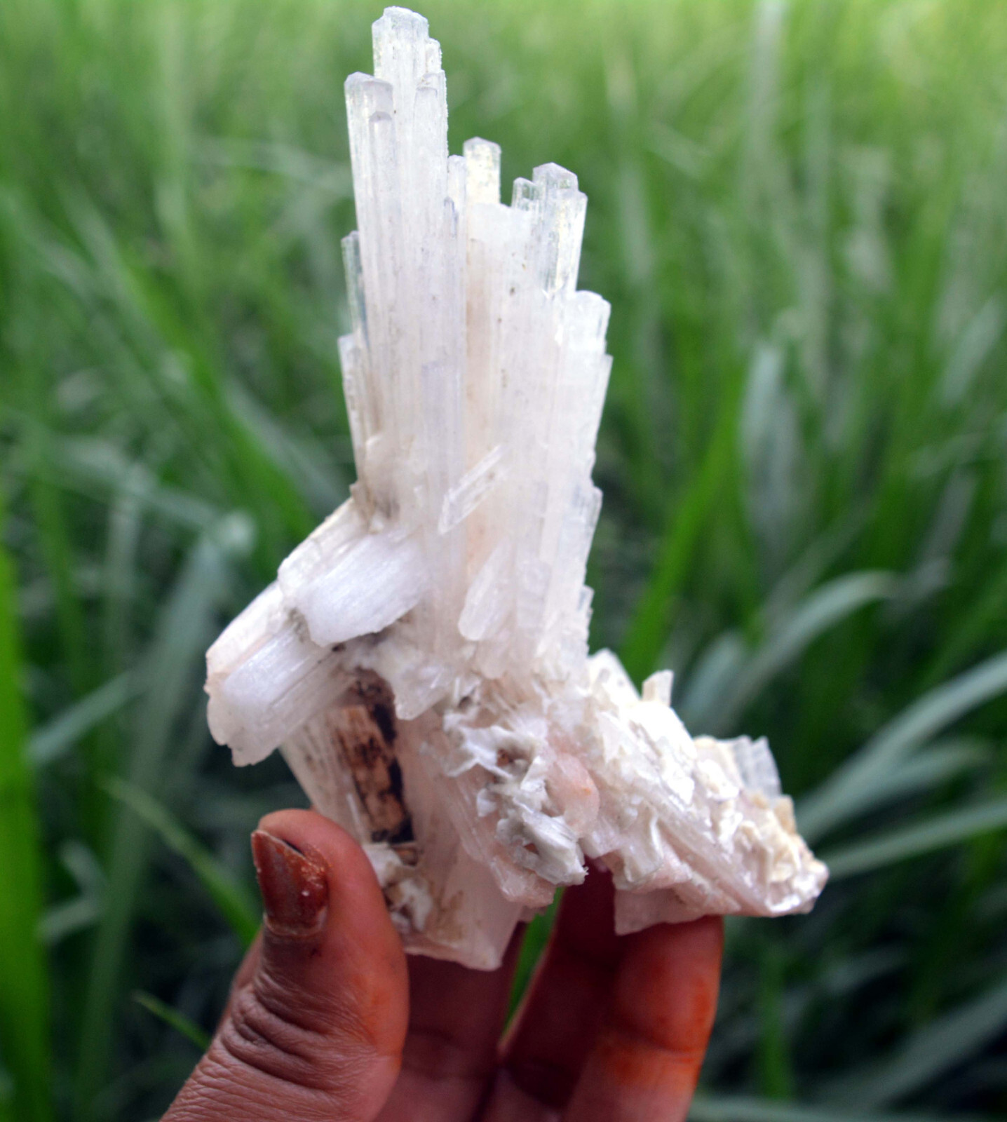 scolecite spray & matrix minerals specimen j-7