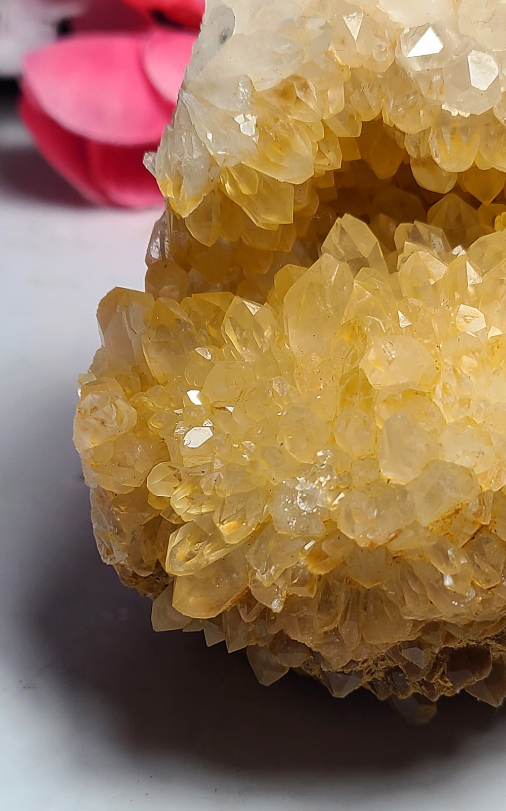 3.7″ 361g Pretty A+ Golden Healer Flower Quartz Crystal Stone Cluster Specimen