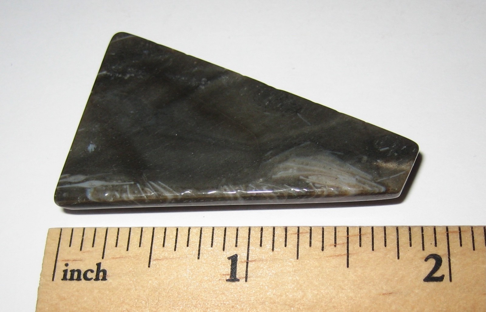 1.8″ x 1″ TUMBLED POLISHED CABOCHON STYLE CUT FOSSIL FORAMINIFERA STONE 12.4g *1