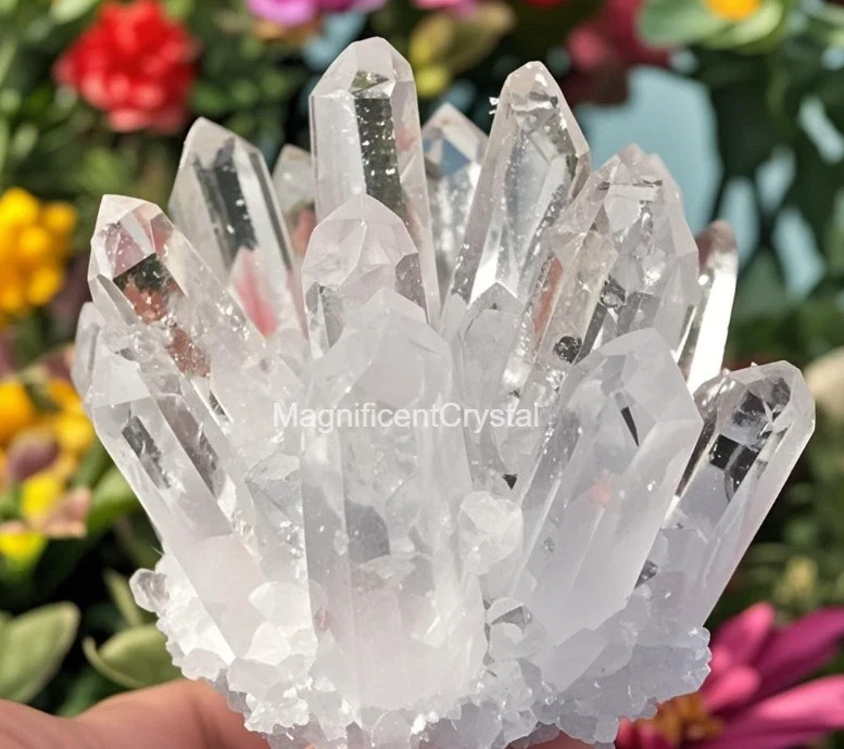 6PCS/SET 4.5lb+ Rare Quartz Cluster Natural Crystal Geode Home Decor Art Display