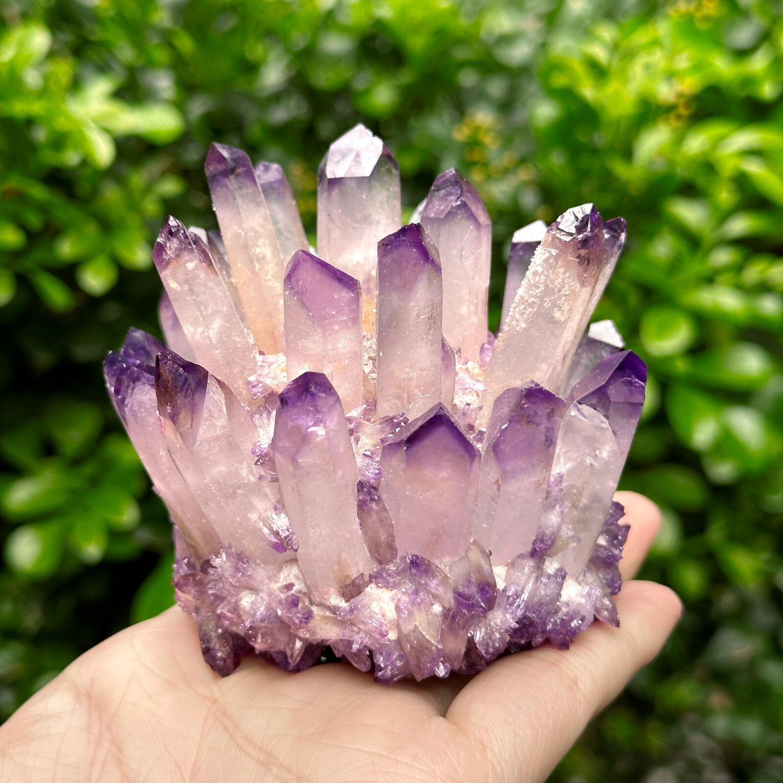 310G+ Natural Amethyst Phantom Cluster Healing Geode Mineral Specimen Crystal