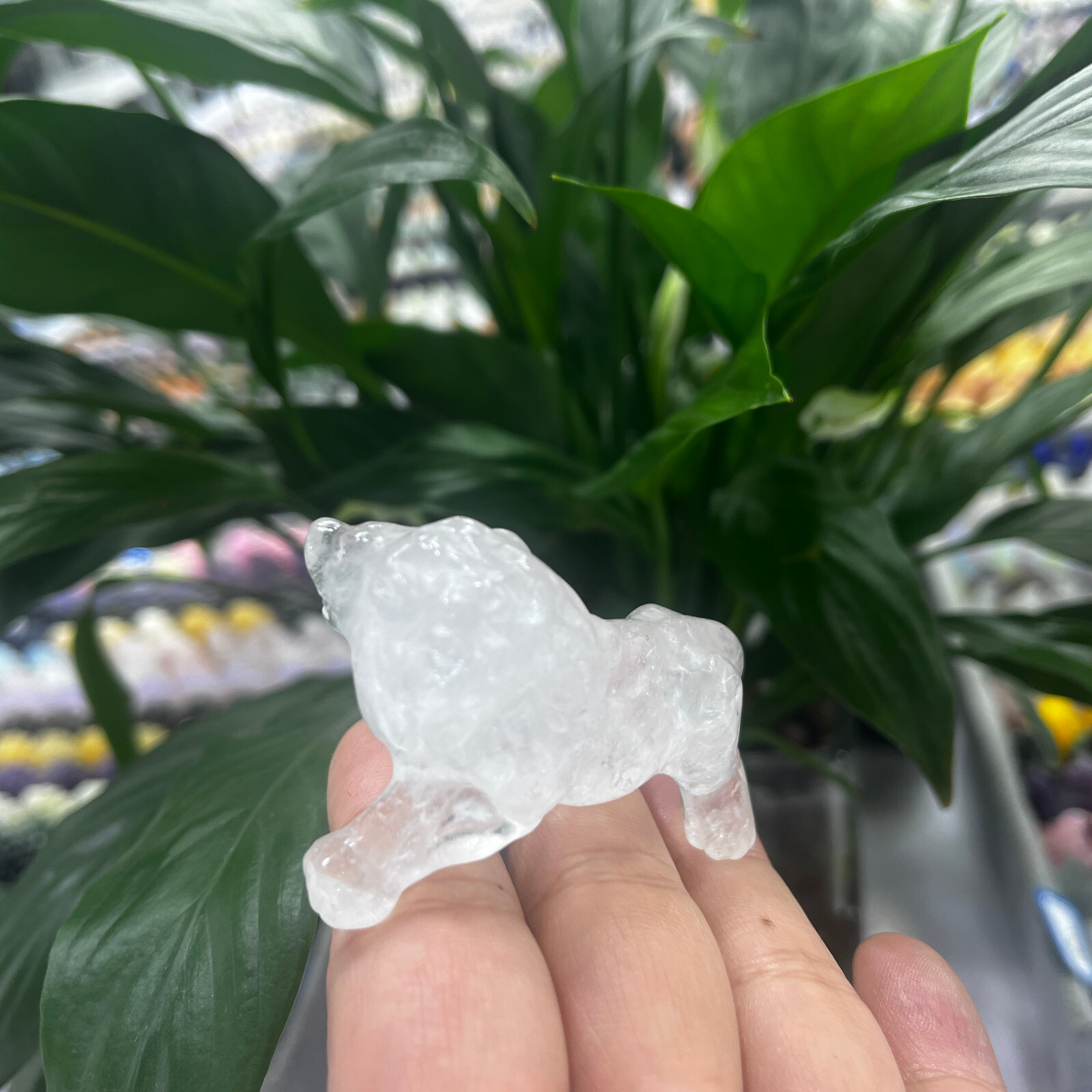 2″Natural clear Quartz Hand Carved Lion Skull Crystal Healing GEM gift decor 1pc