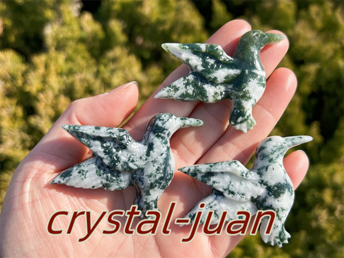 2″+ Natural Aquatic agatet hummingbird skull Carved Quartz Crystal skull heal