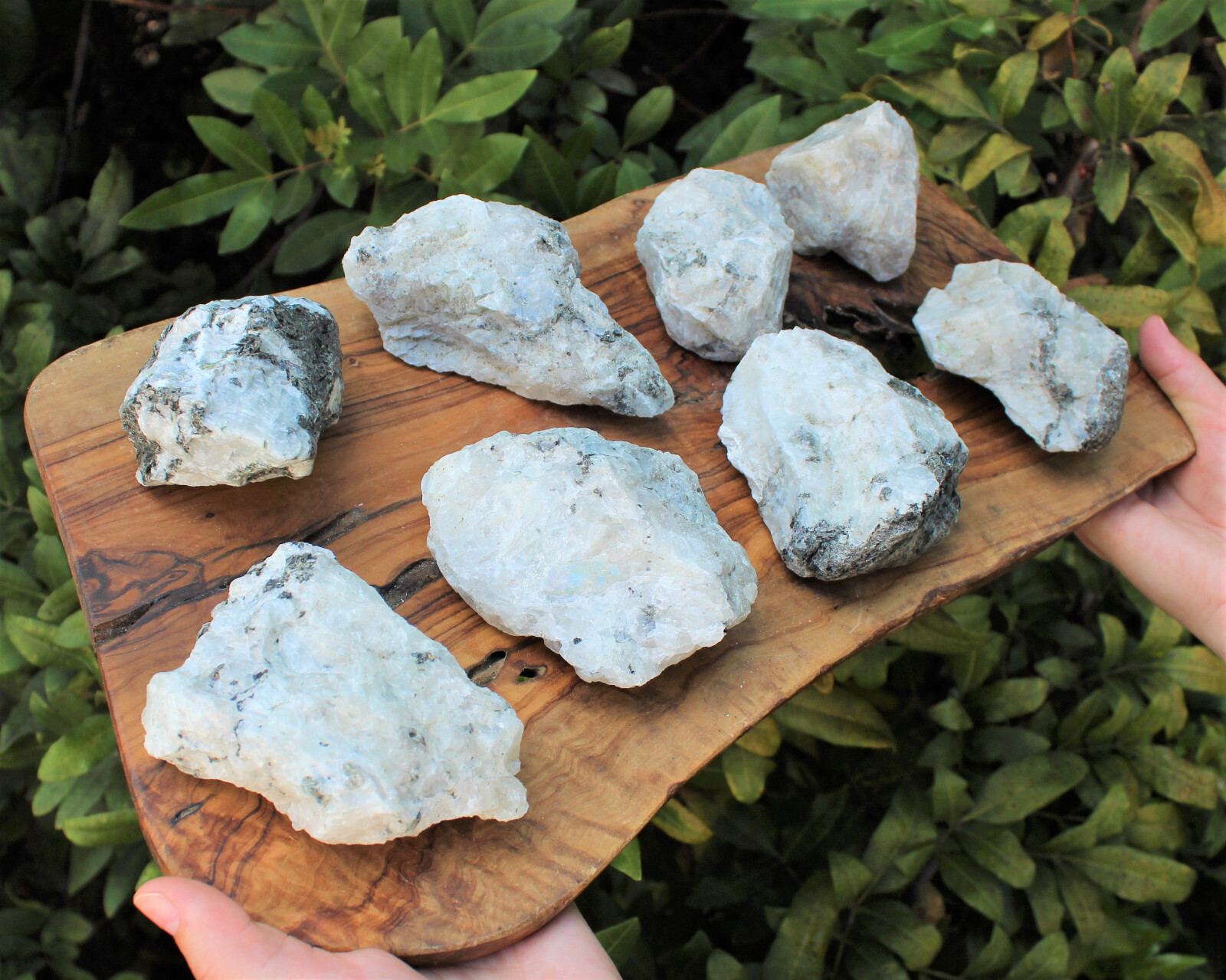 JUMBO Rainbow Moonstone Natural Raw Crystals – HUGE Rough Rainbow Moonstone