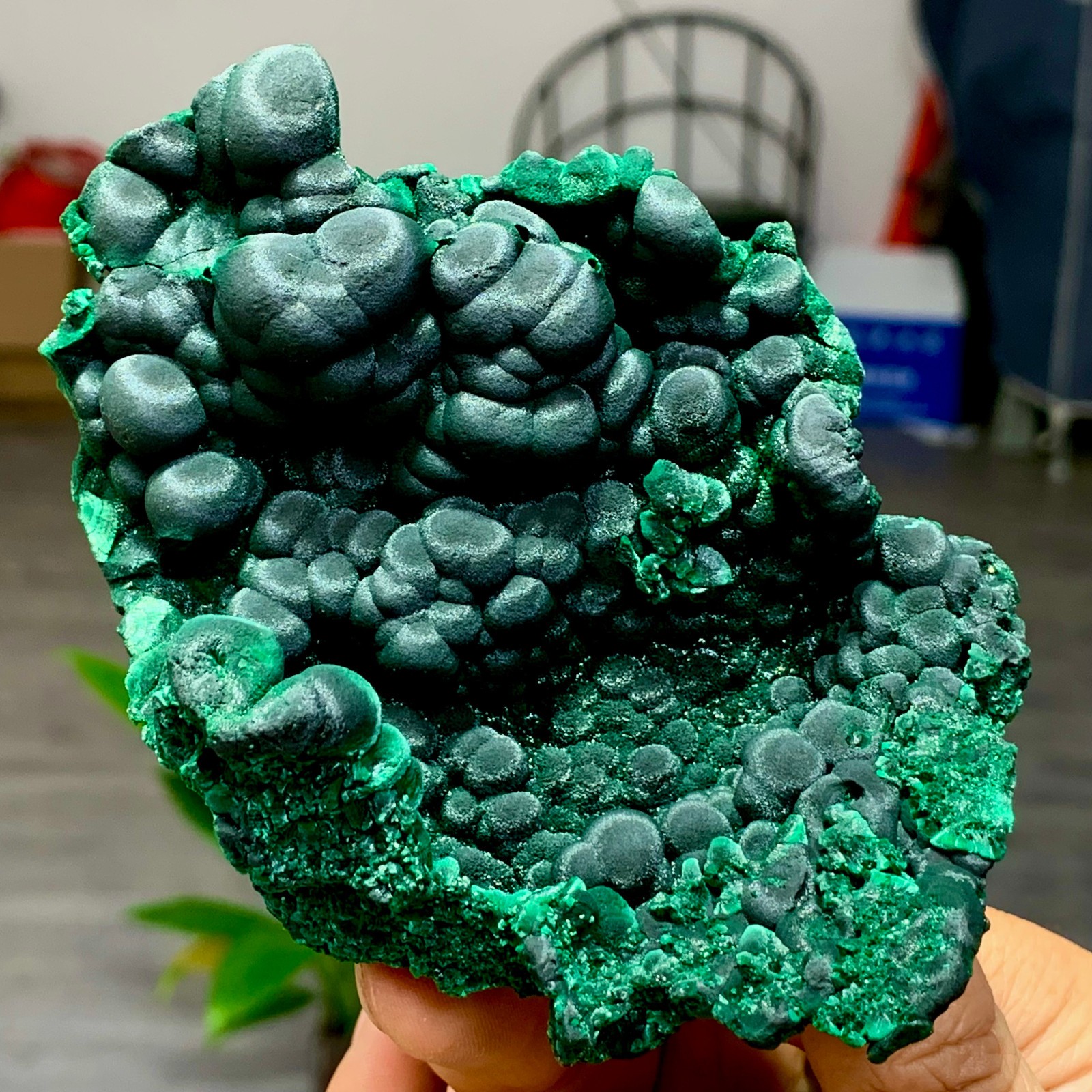 205g Natural glossy malachite cat eye transparent cluster rough mineral Sample