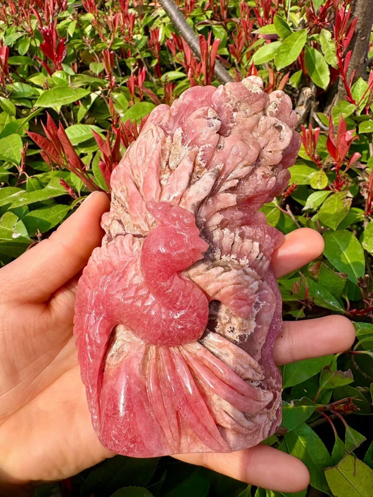 495g Natural Rhodochrosite Quartz Hand Carved phoenix Skull Crystal Reiki Decor