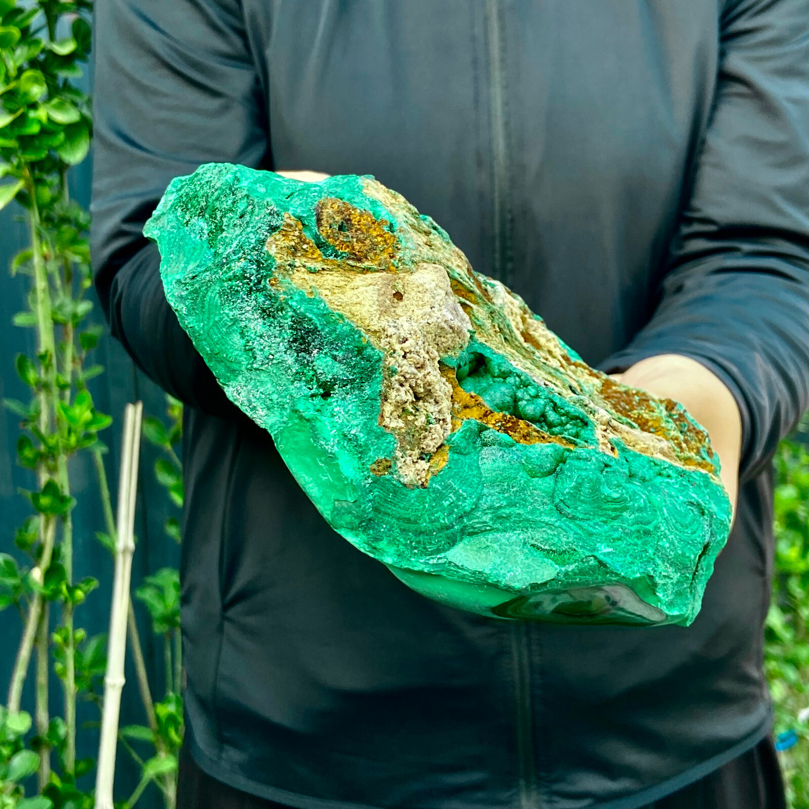 5LB Natural tortoise Malachite transparent cluster coarse mineral sample