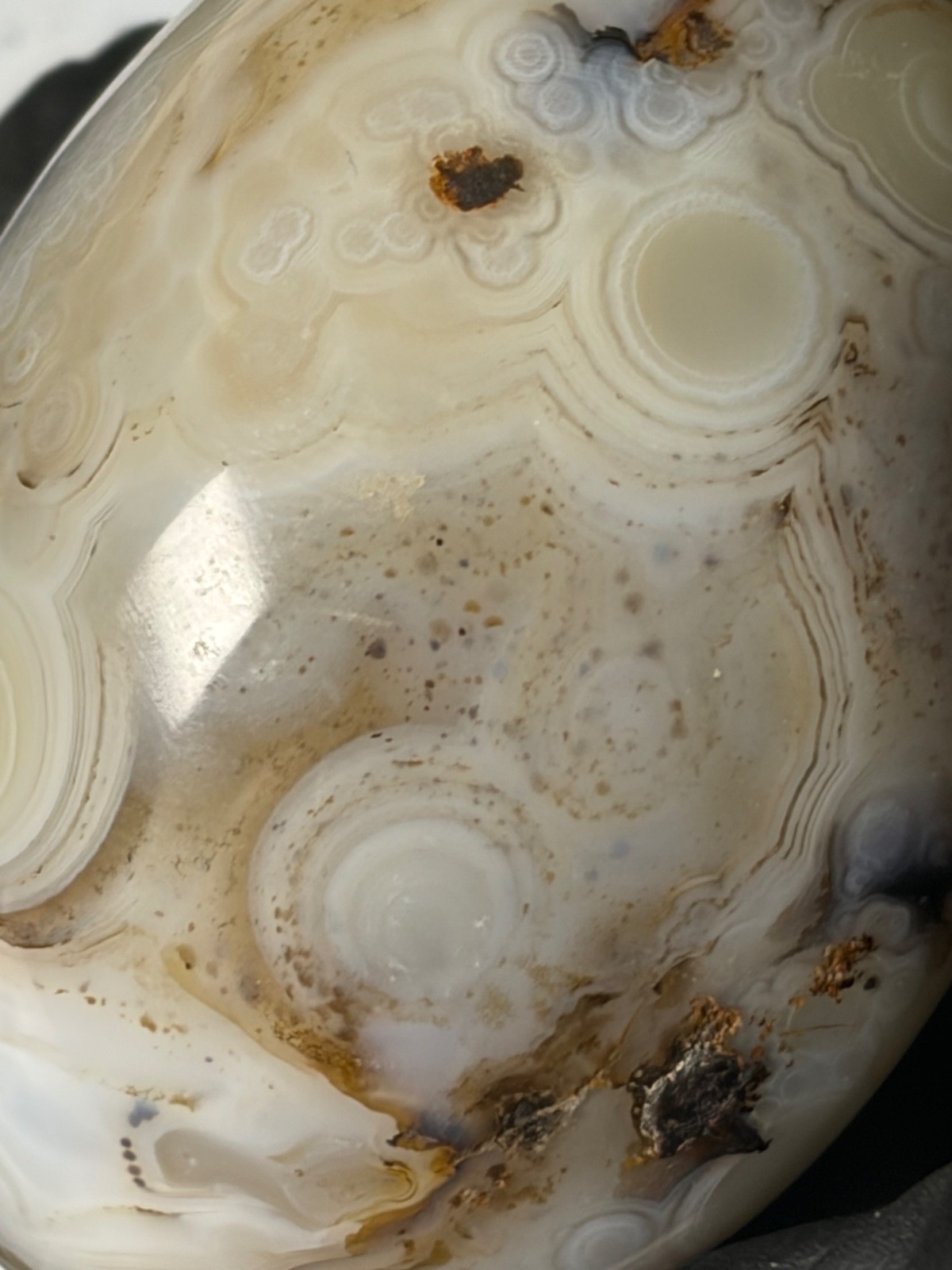 Excellent Agate Palm Stone Dendritic Orbs Banding