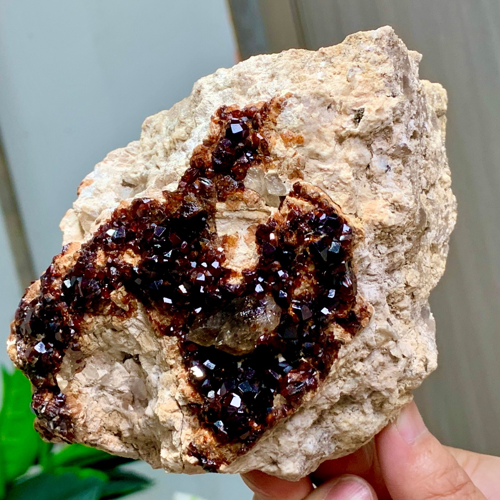 1.92LB Natural Garnet with smokey quartz cluster Crystal Mineral Specimen