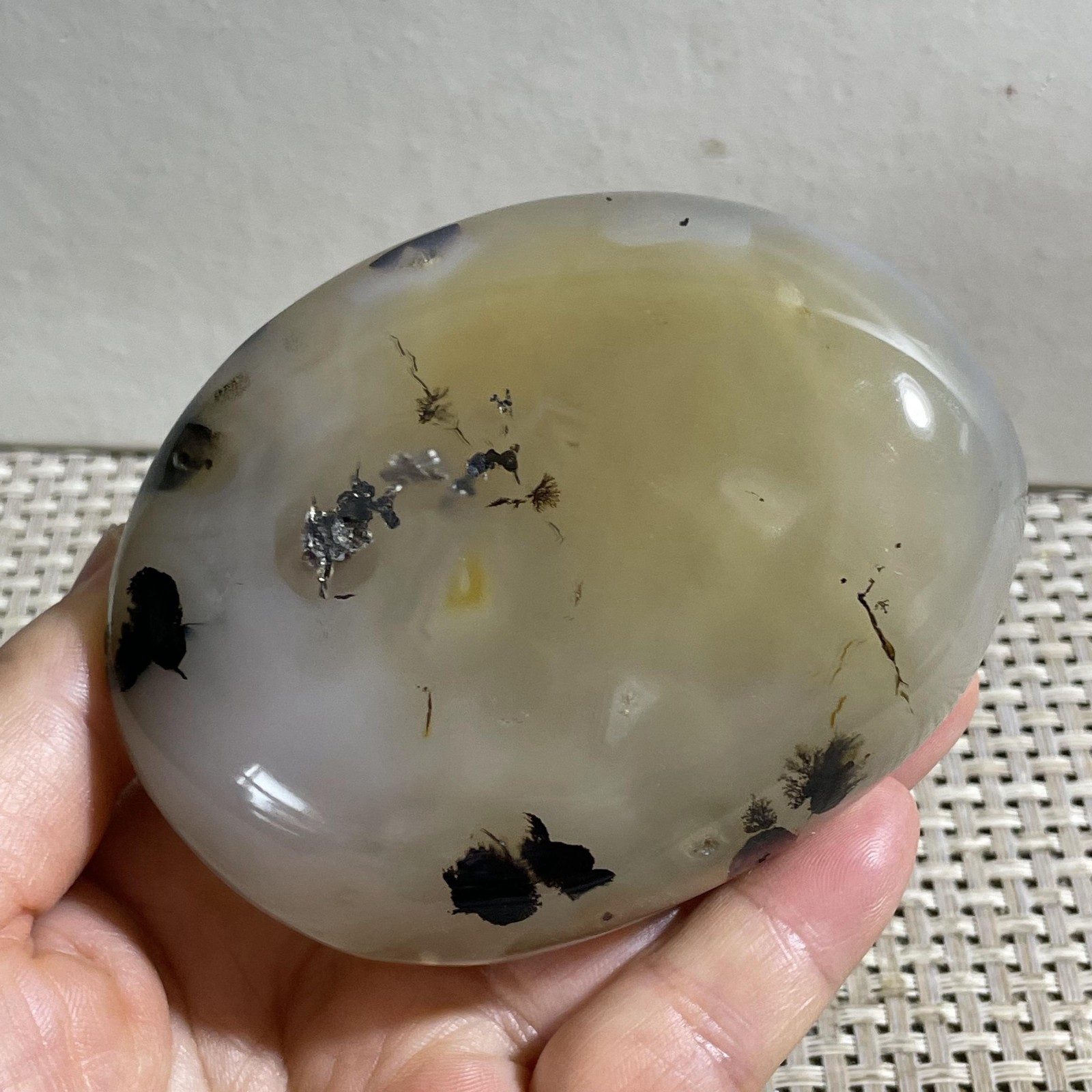 356g Natural Polished Aquatic Plants Agate Crystal Madagascar