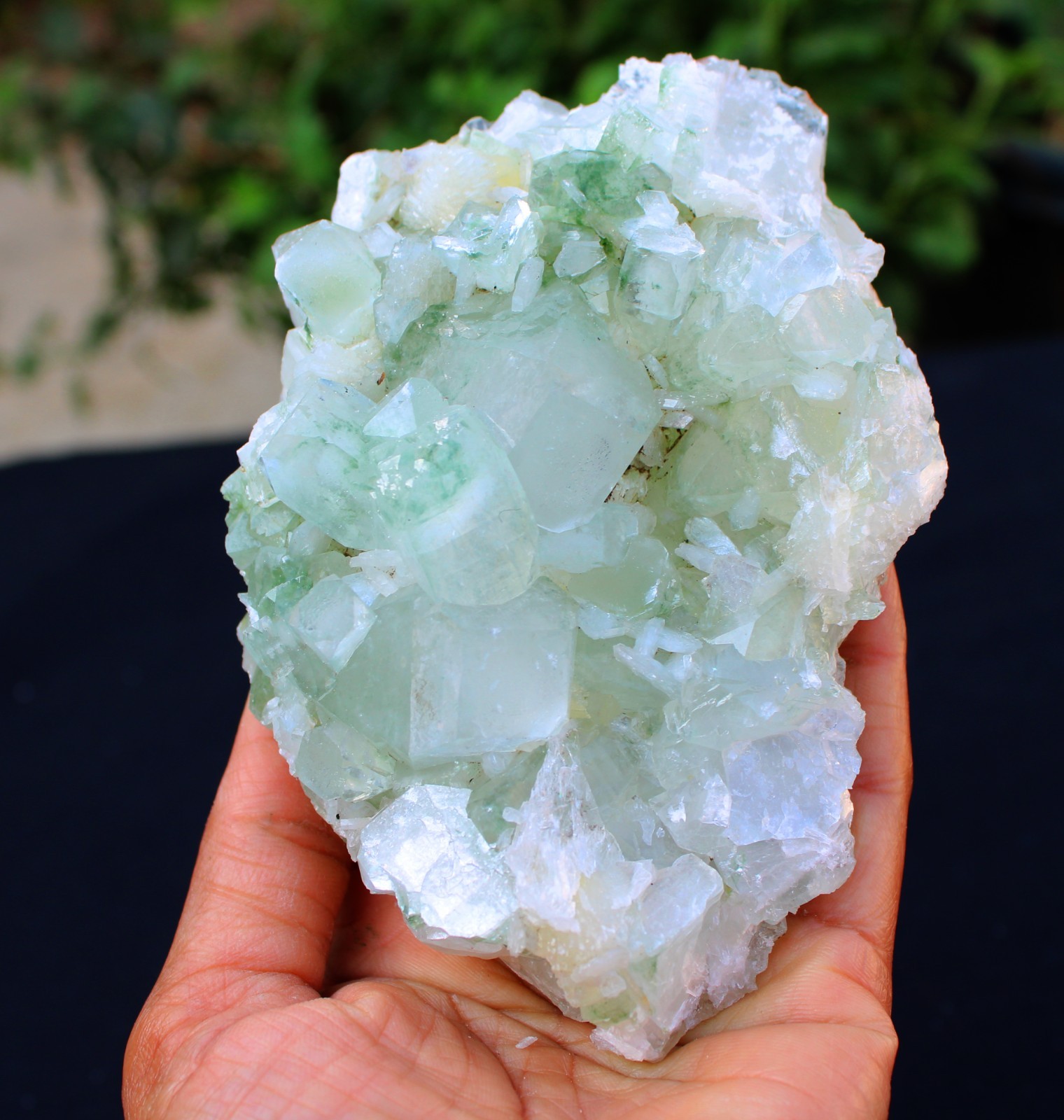 Green Apophyllite Crystals w/ Stilbite Formation Minerals Specimen
