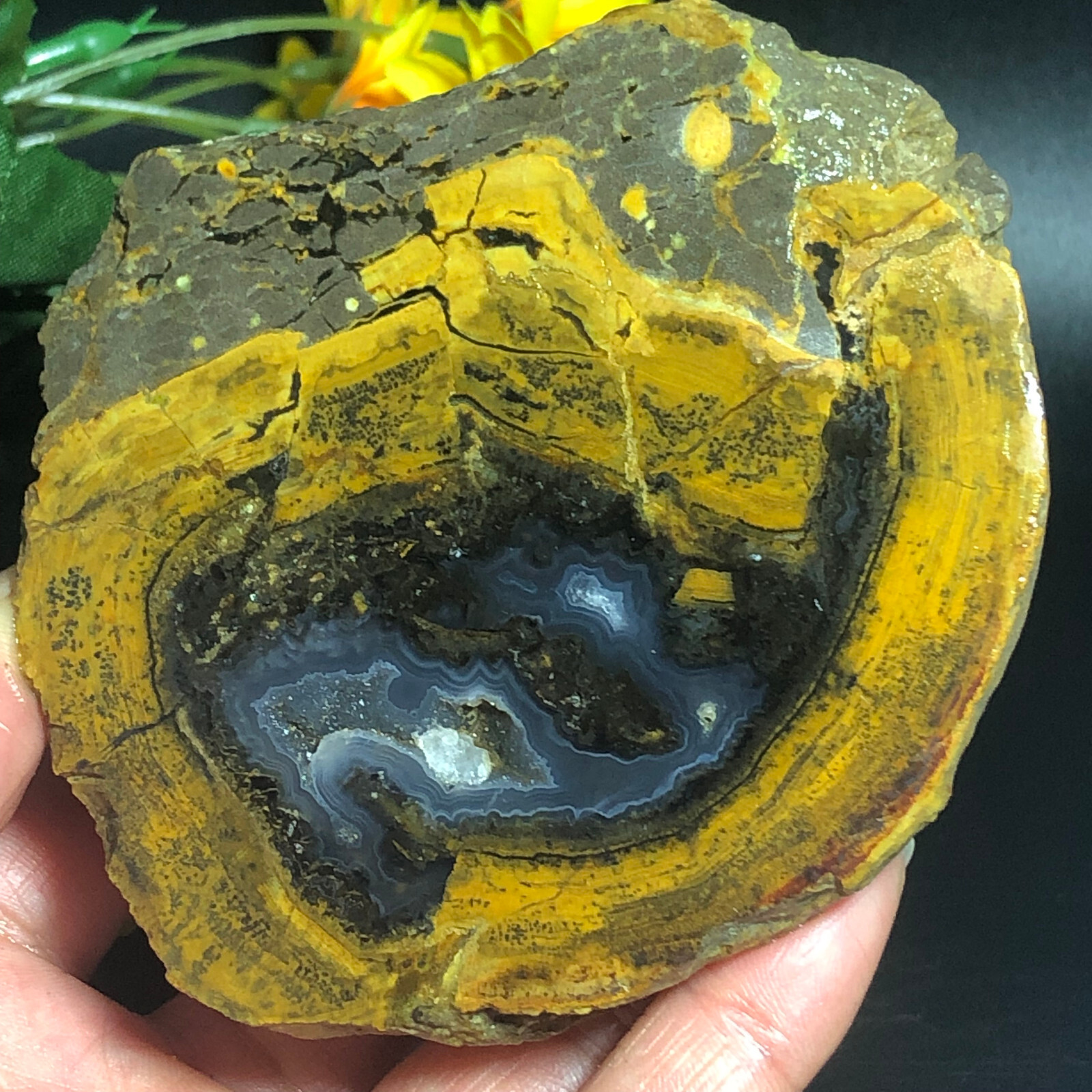 TOP286G Natural Warring States Red Agate Banded Lace Agate Crystal PM12