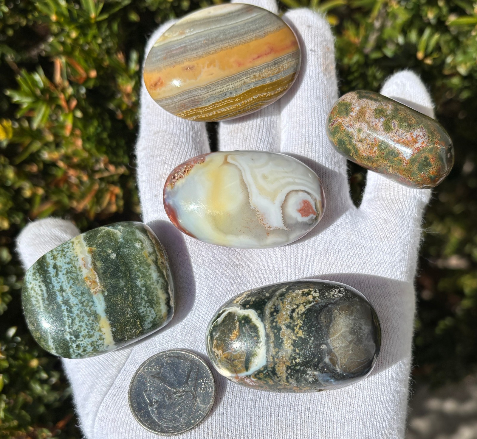 USA SALE 340g LOT XL/L TUMBLES OCEAN JASPER TUMBLES TUMBLE TUMBLED STONE STONES