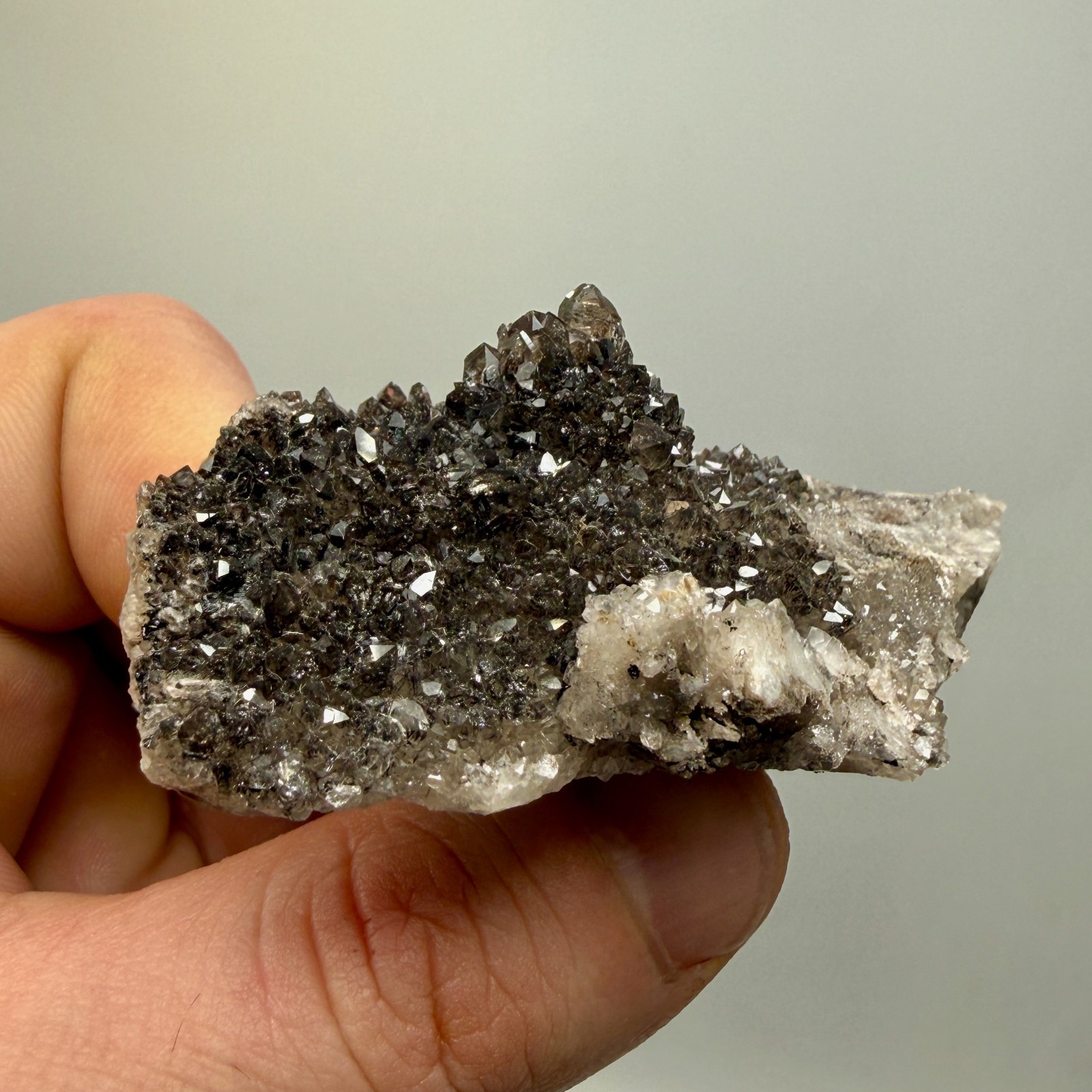 Black Druze with Hydrocarbon Phantom Percher Herkimer Diamonds, Rare Matrix!
