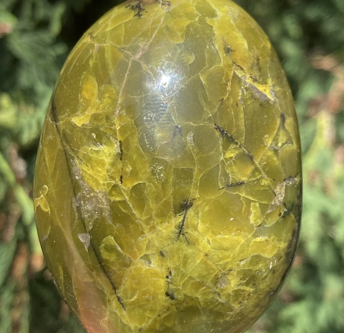 Handmade Polished GREEN OPAL Healing Crystal Palm Stone Pebble MADAGASCAR 2.4″