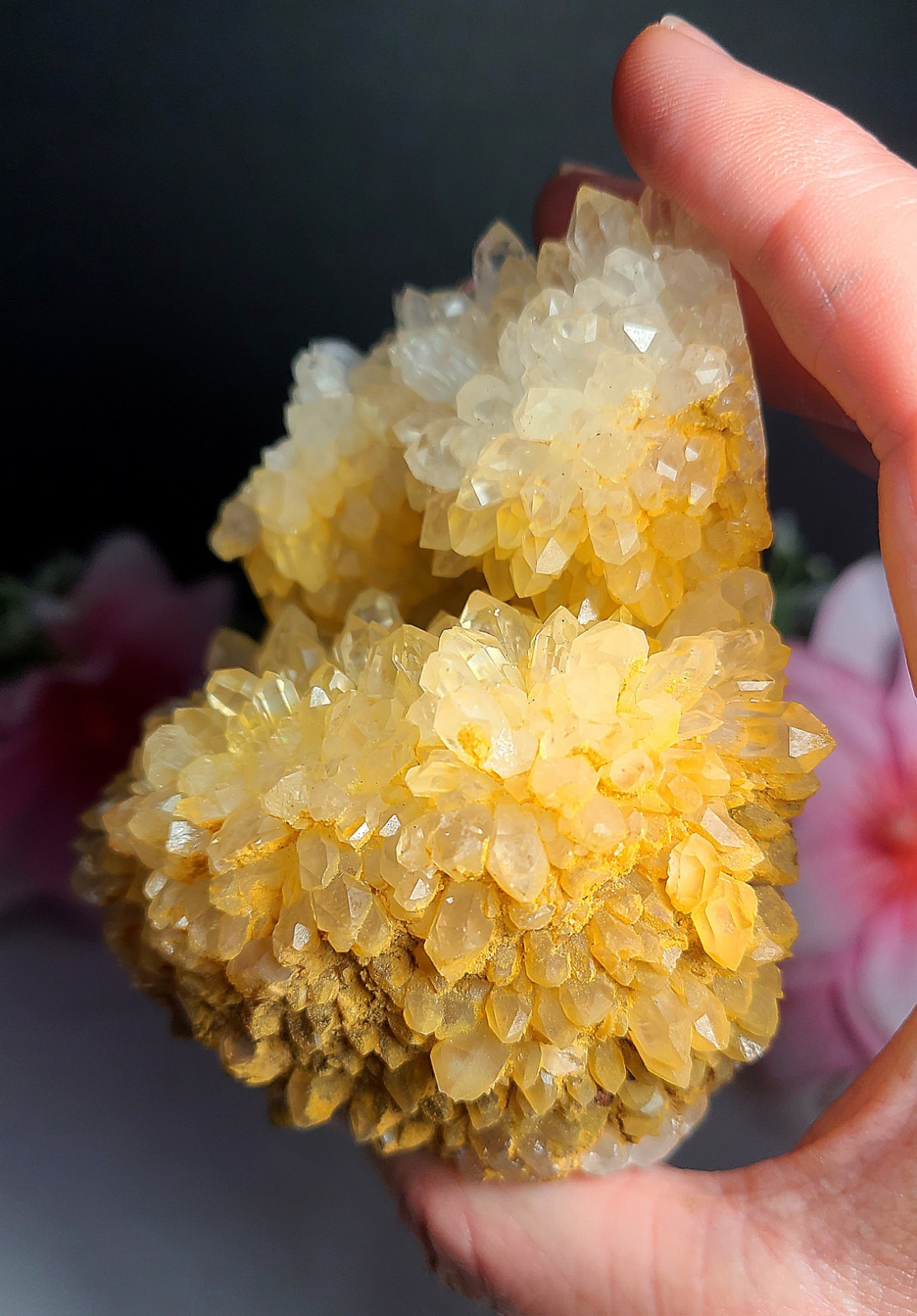 3.7″ 361g Pretty A+ Golden Healer Flower Quartz Crystal Stone Cluster Specimen