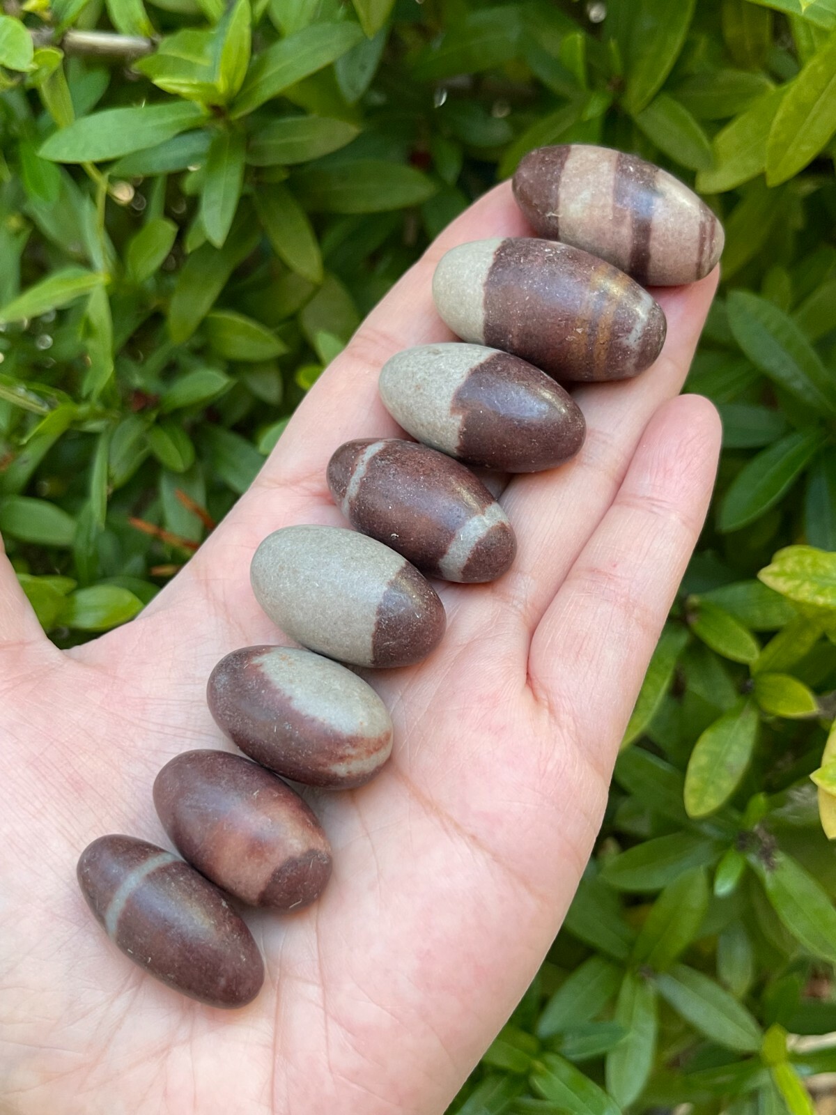 1″ Shiva Lingam Stone, Small Shiva Lingam Sacred Stones, Wholesale Bulk Lot