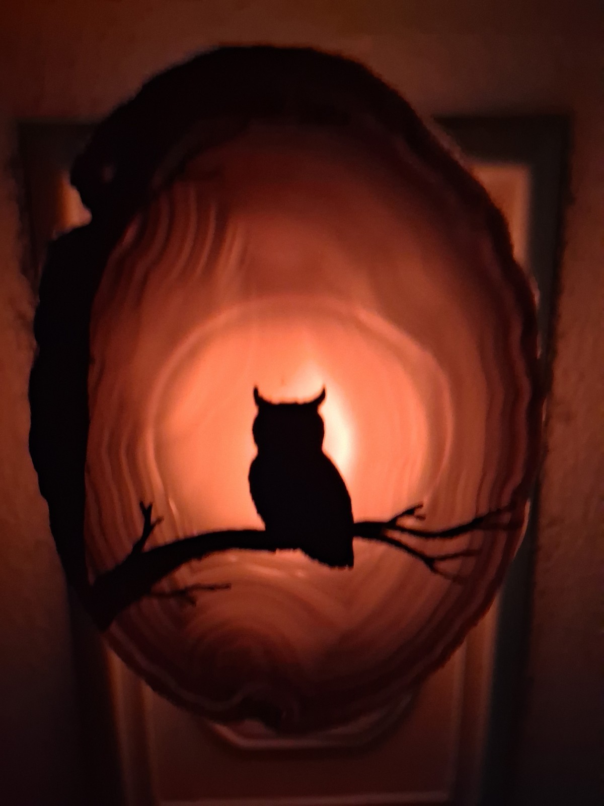 Owl Full Moon Night Light Natural Agate Slice Goth