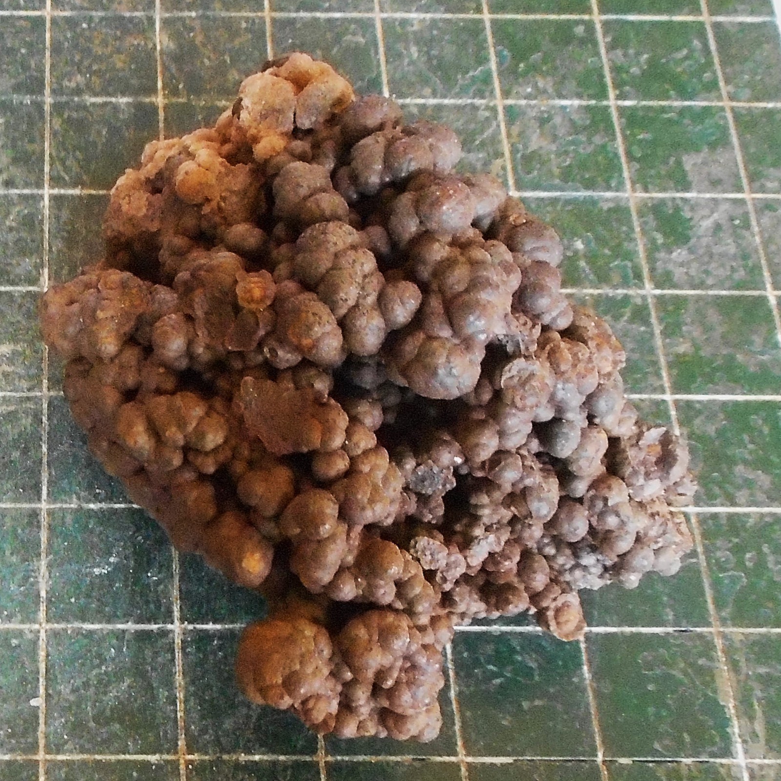 Brown Bubbly Goethite Crystal Plate . Natural Specimen . 2.5″