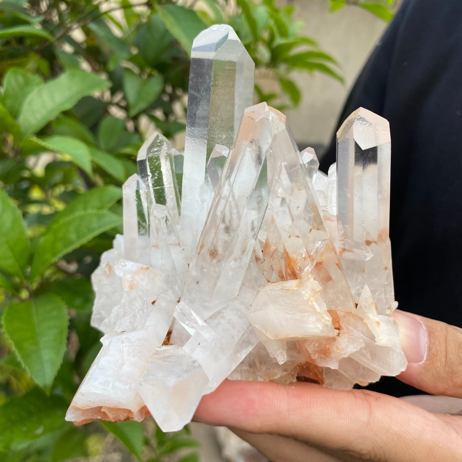 1.6lb Natural Clear White quart Crystal Cluster Raw Healing Specimen