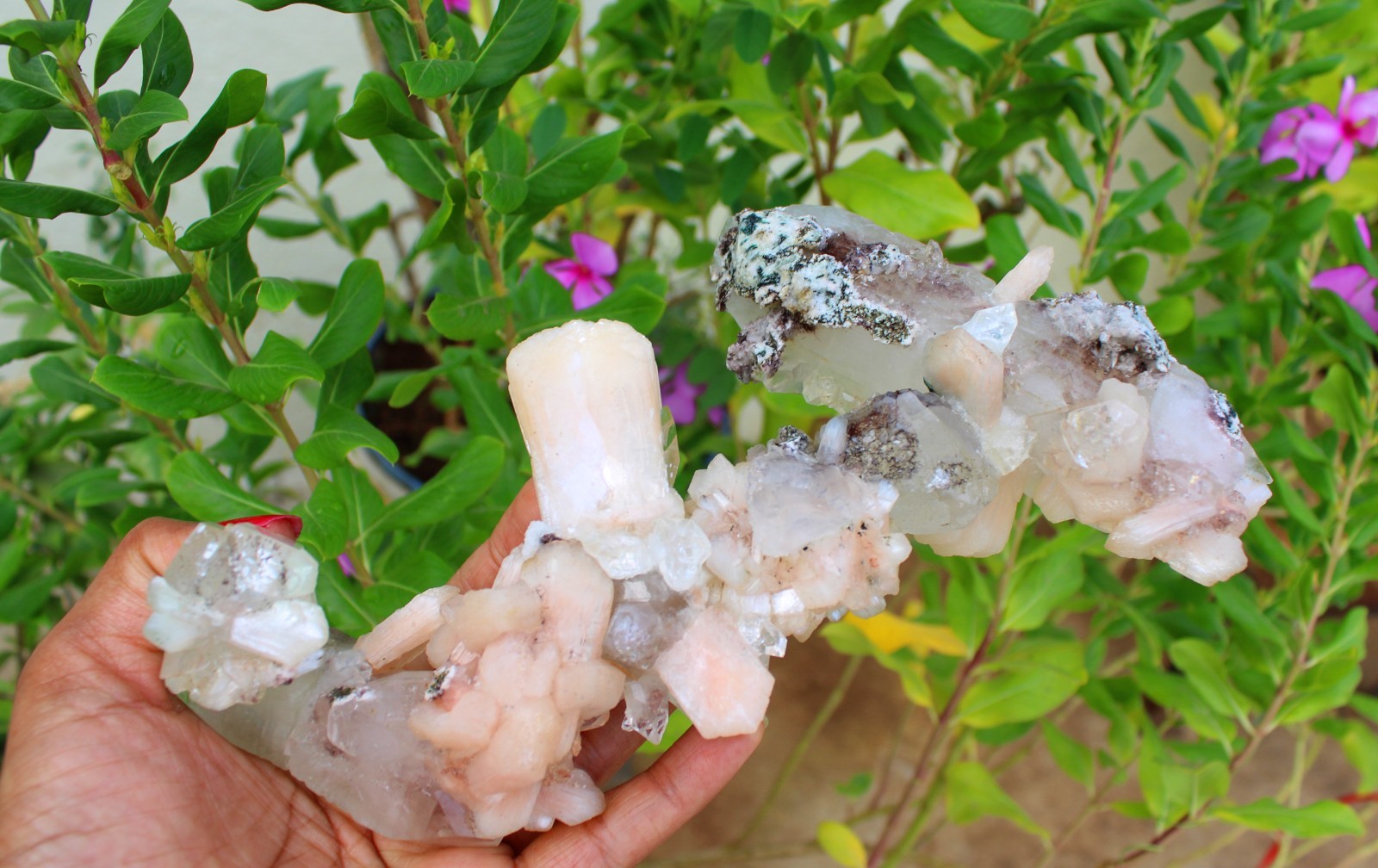 Apophyllite Crystals w/ Stilbite Formation Minerals Specimen ( 21×10 ) REPAIR