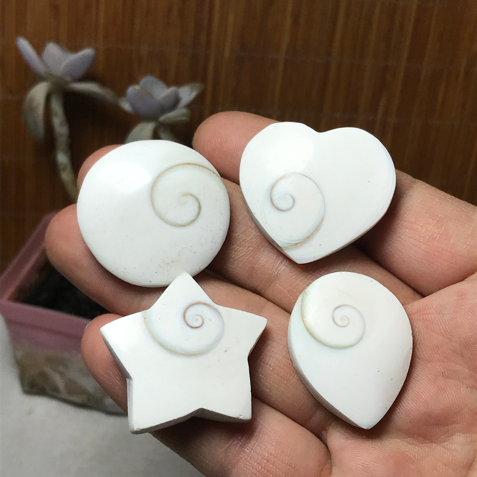 4Pcs Natural sun shell star Heart Reiki Shiva Eye ocean quartz carve A3334