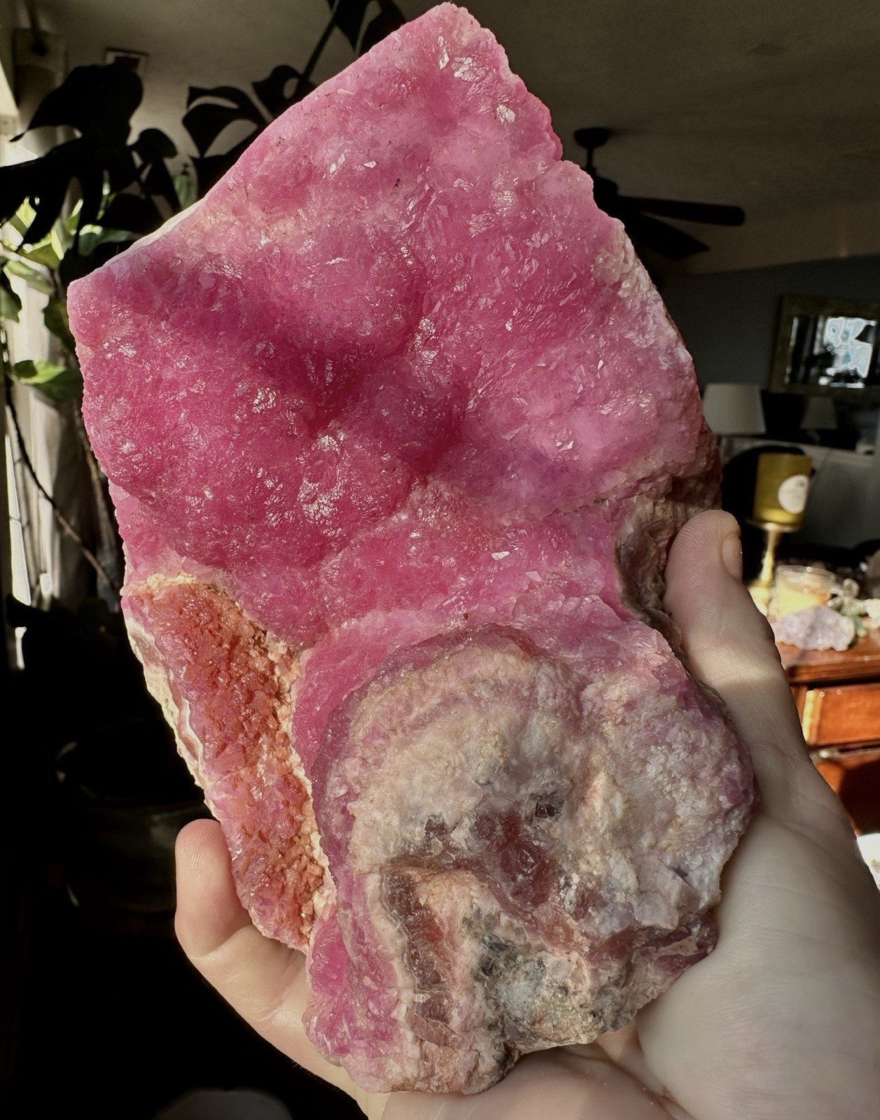Huge Cobaltoan Calcite Display Specimen -16×14 cm Morocco -Vibrant Pink! 4lbs!