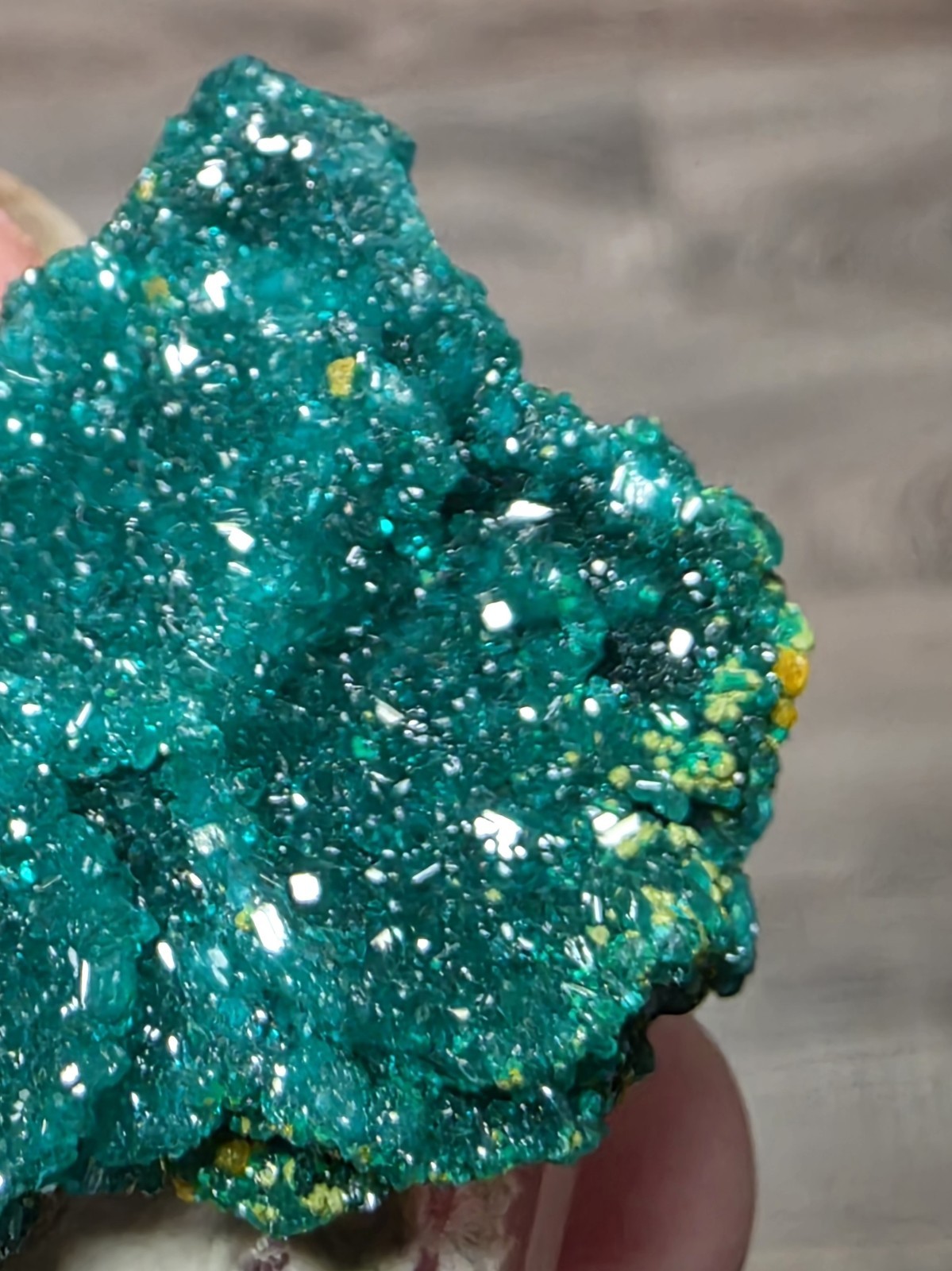 DIOPTASE w/ Wulfinite Crystal Mineral Specimen Cluster Green CONGO AFRICA 4.5 cm