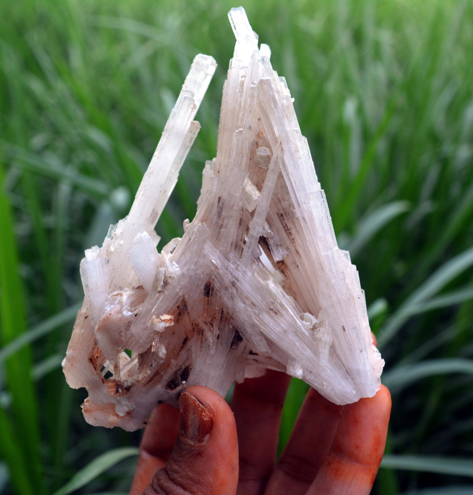 scolecite spray formation minerals specimen j-7