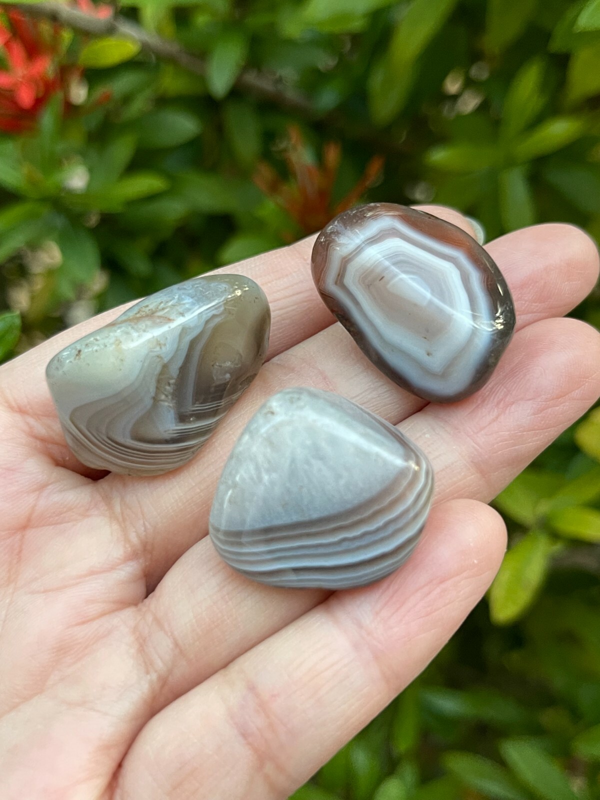 Grade A++ Botswana Agate Tumbled Stones 0.75-1 Inch, Wholesale Bulk Lot