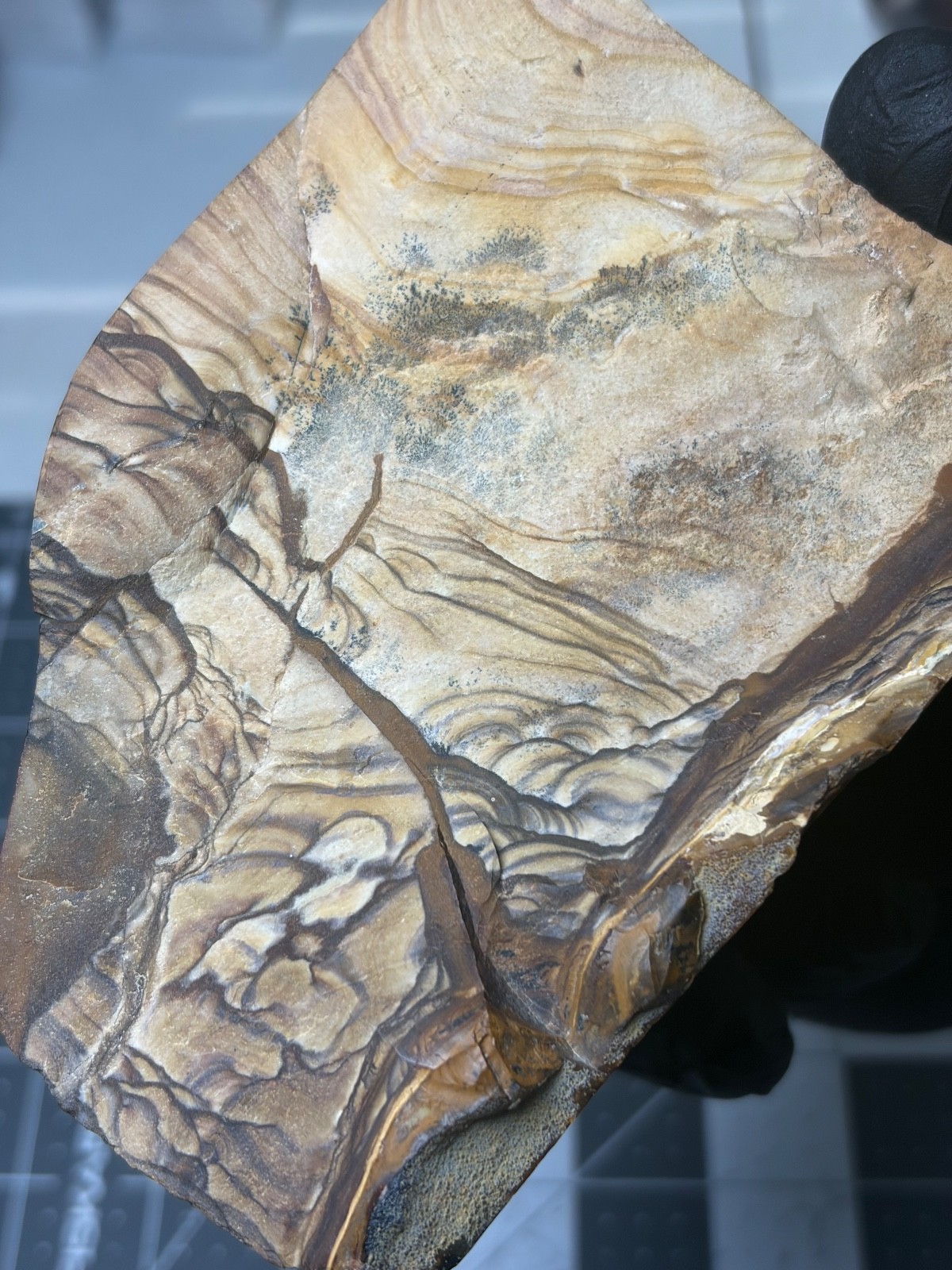 Rare Blue Biggs Picture Jasper Faced Polished Specimen AAA Quality Mountains