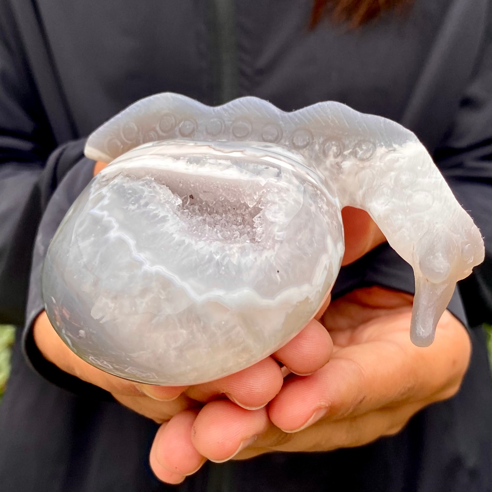 269G Natural Ocean Agate Snail Hand Carving Gemstone Ornament Home Decoration