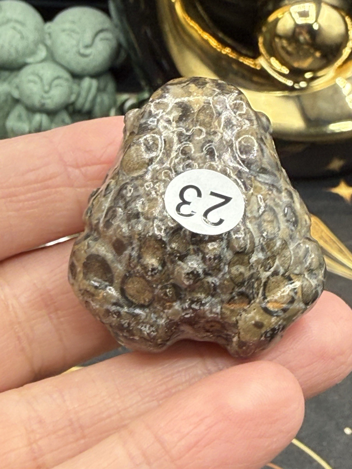 Natural Leopard Skin Japser Baby Toads O.M.G cute & Life like! Free shipping
