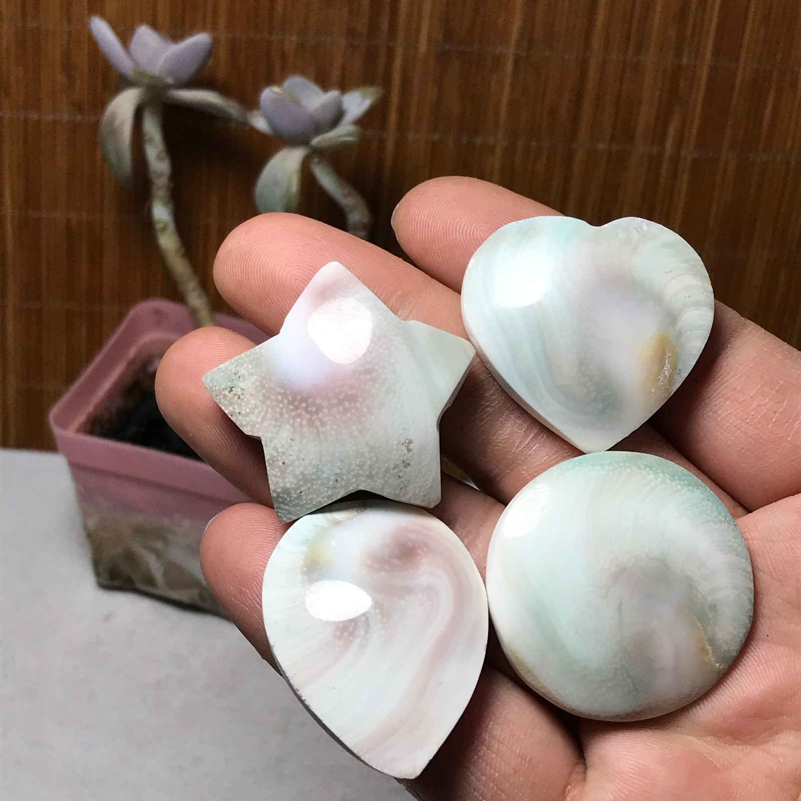 4Pcs Natural sun shell star Heart Reiki Shiva Eye ocean quartz carve A3338