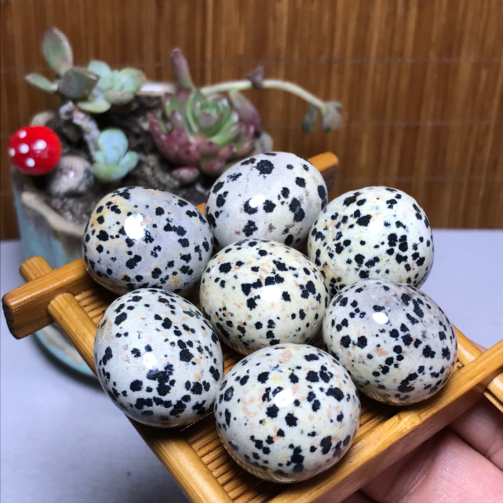 25-22-22mm 7Pcs Natural spotted stone Crystal gemstone Mineral Specimen A4408