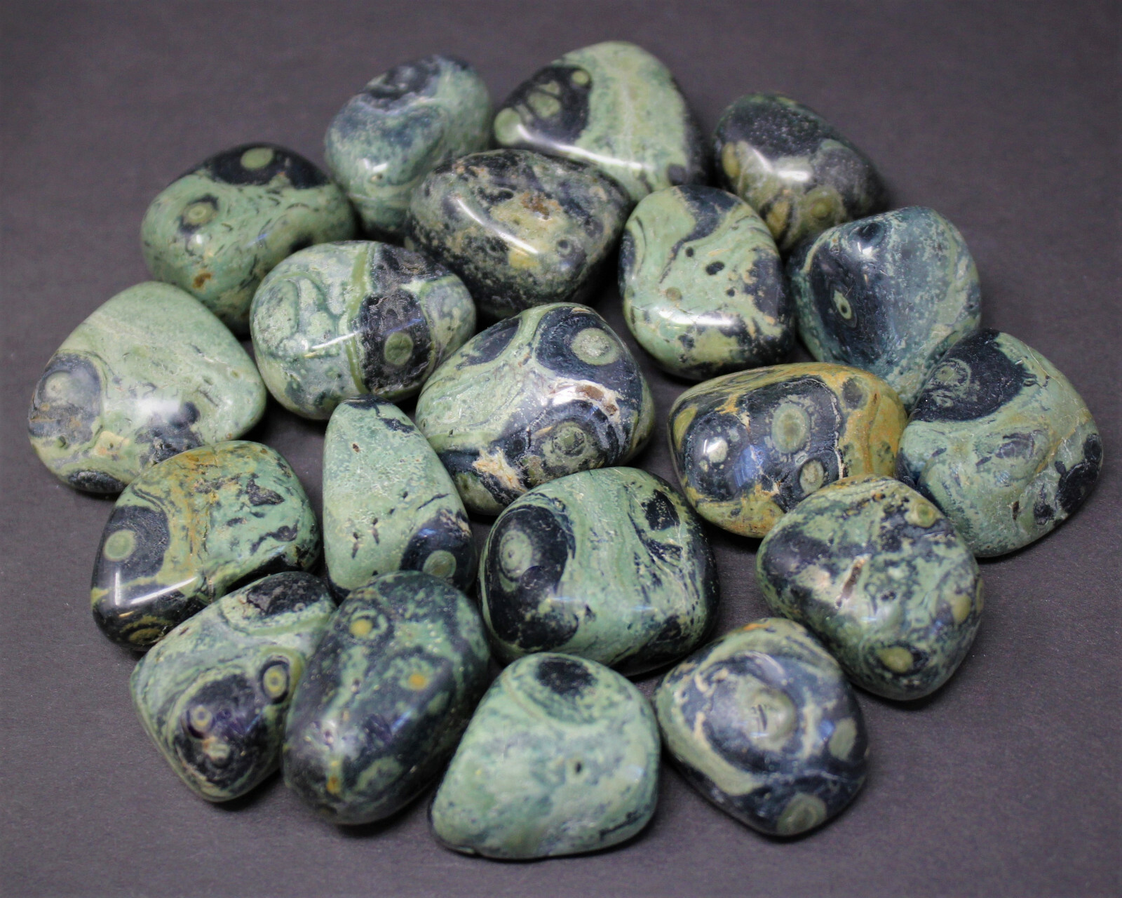 Kambaba Jasper Tumbled: Choose How Many Pieces (Tumbled Crocodile Jasper)