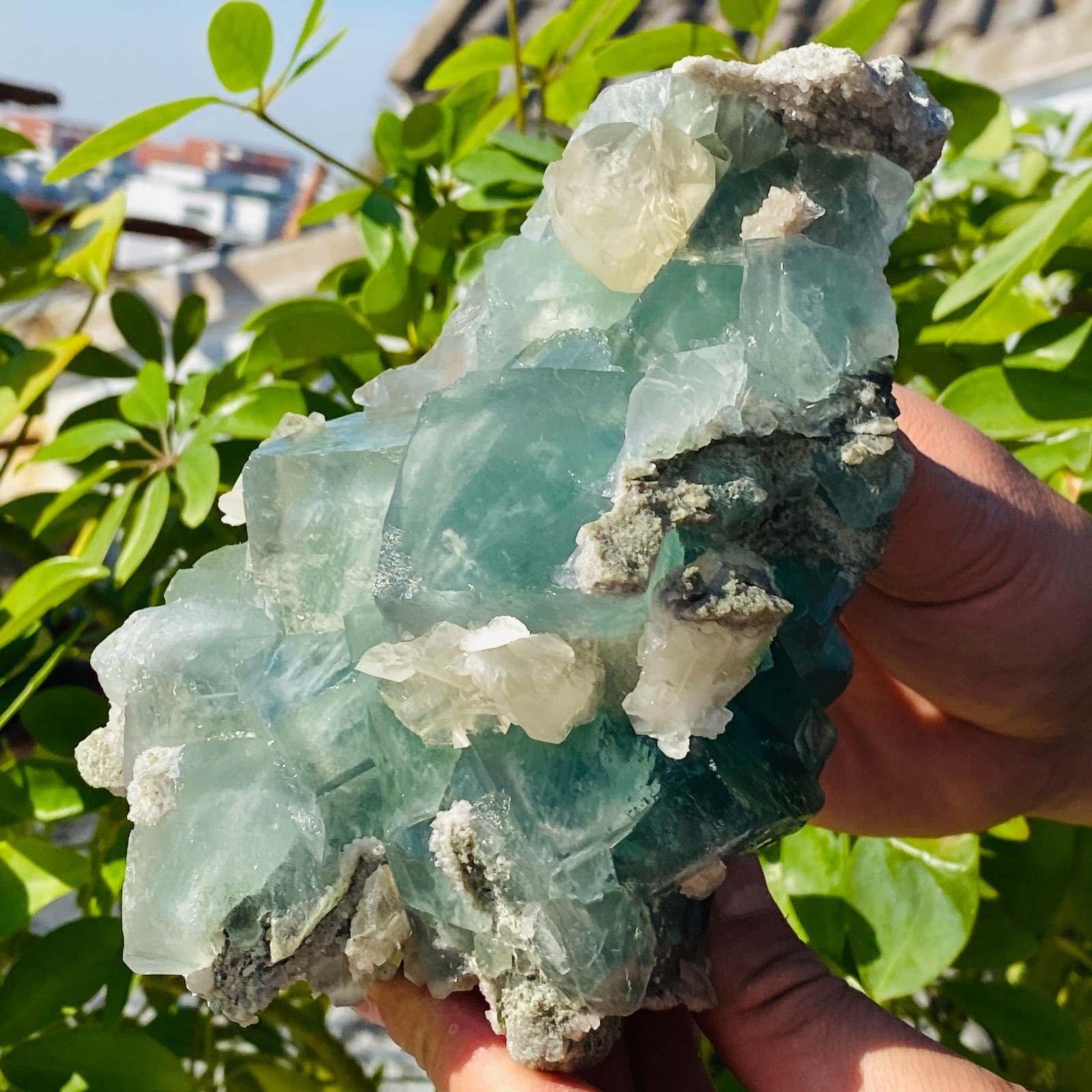 1706g Natural transparent blue green fluorite mineral crystal sample/China