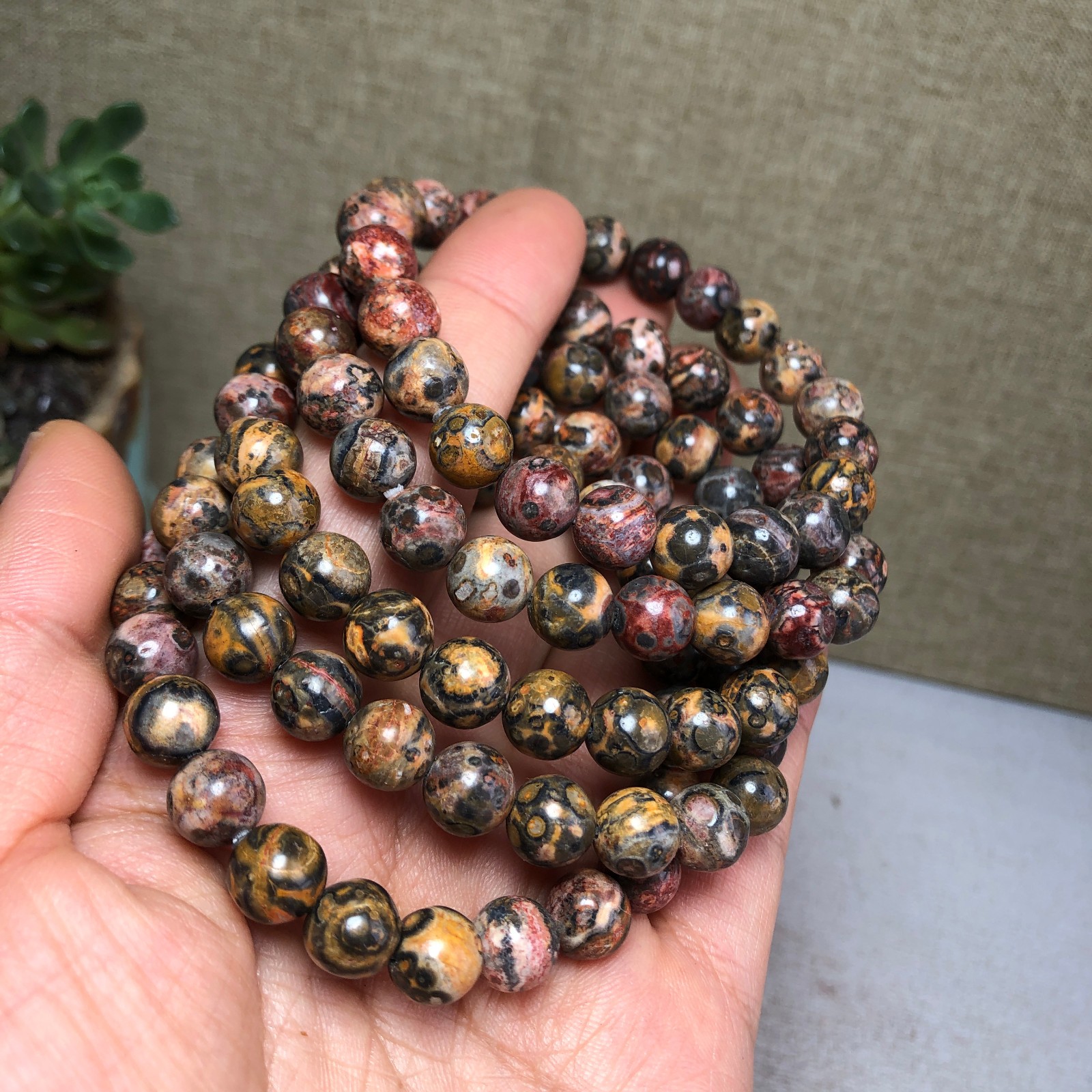 5pcs Natural Leopard stone gemstone Crystal chain bracelet Specimen 8mm T4766