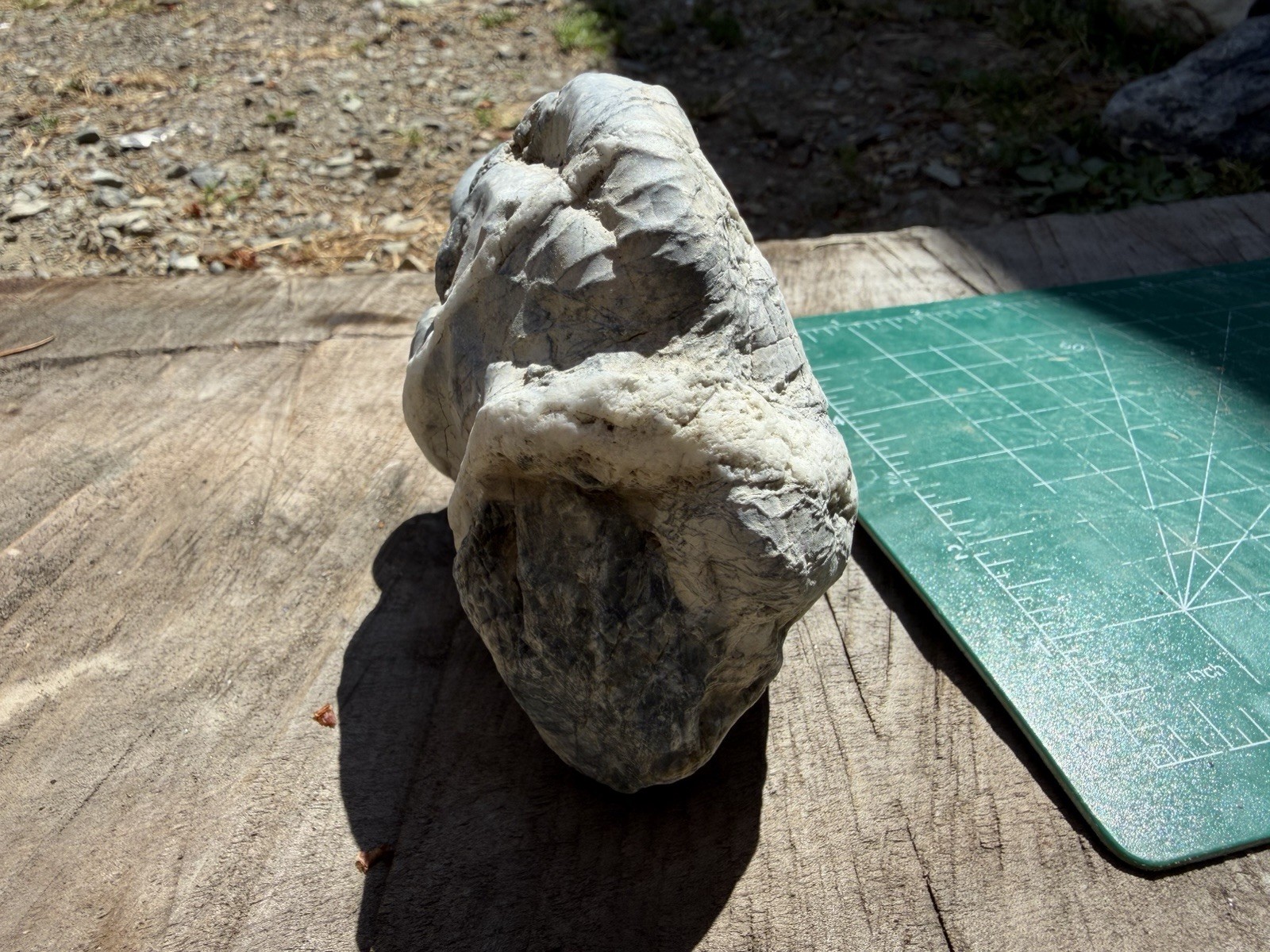 Unique Quartz Veined River Stone Natural Abstract Sculpture Display Specimen