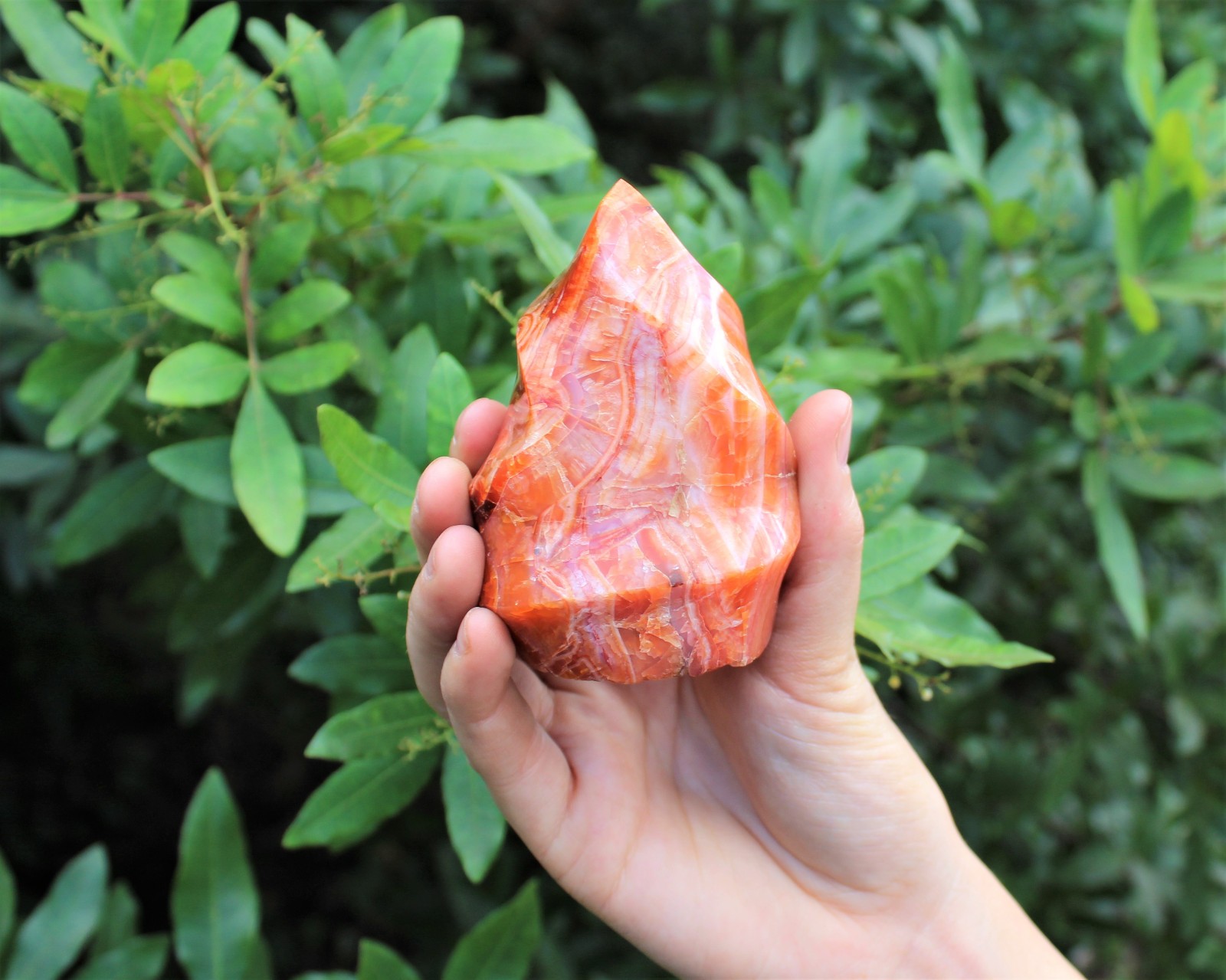 Carnelian Crystal Flame: Cut Base Free Standing, Display Specimen – Choose Size